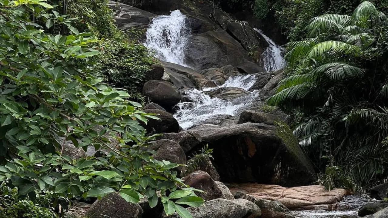 Изображение услуги1