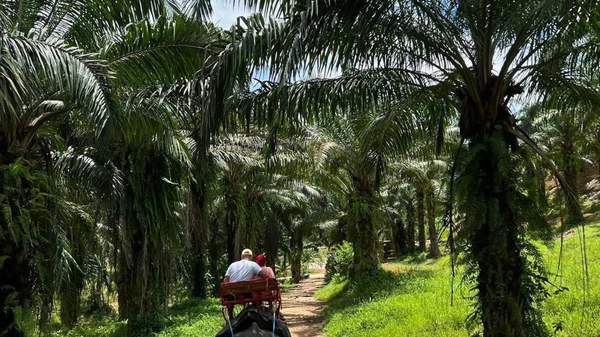 Изображение услуги2