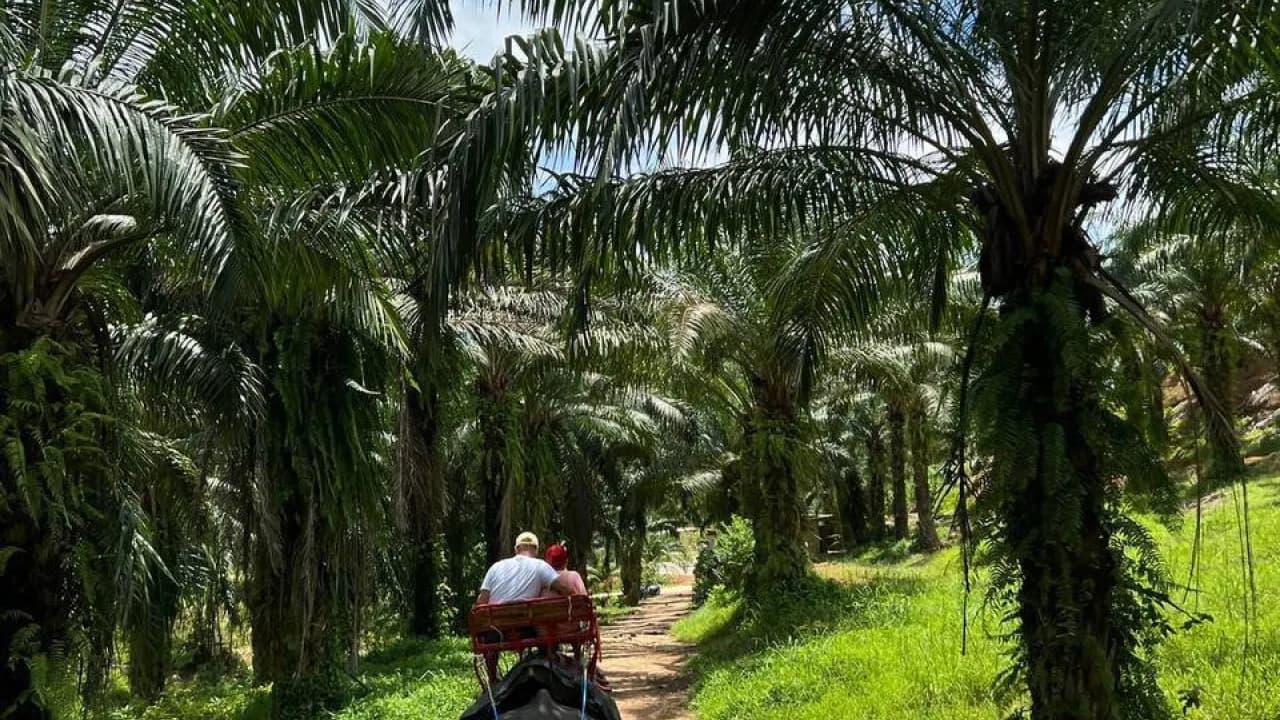 Изображение услуги2