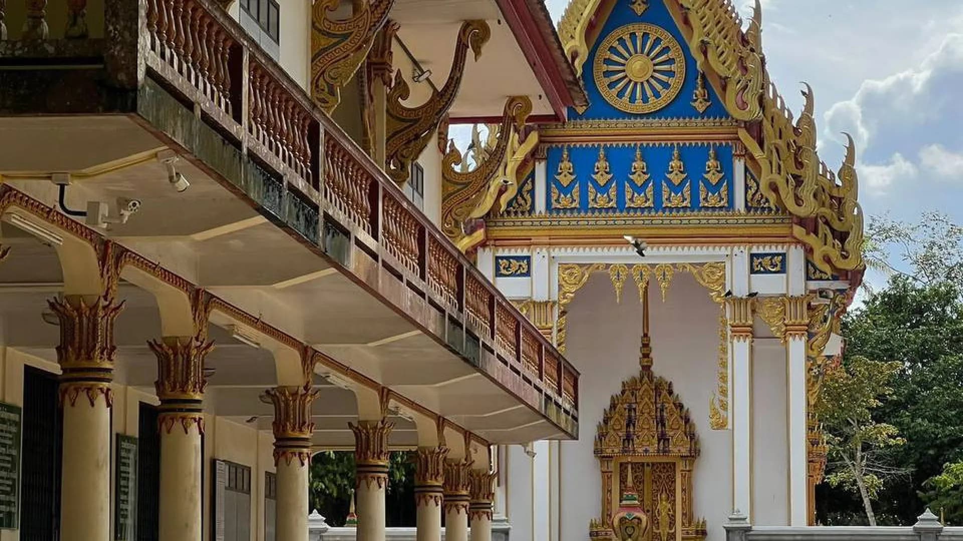 Изображение услуги5