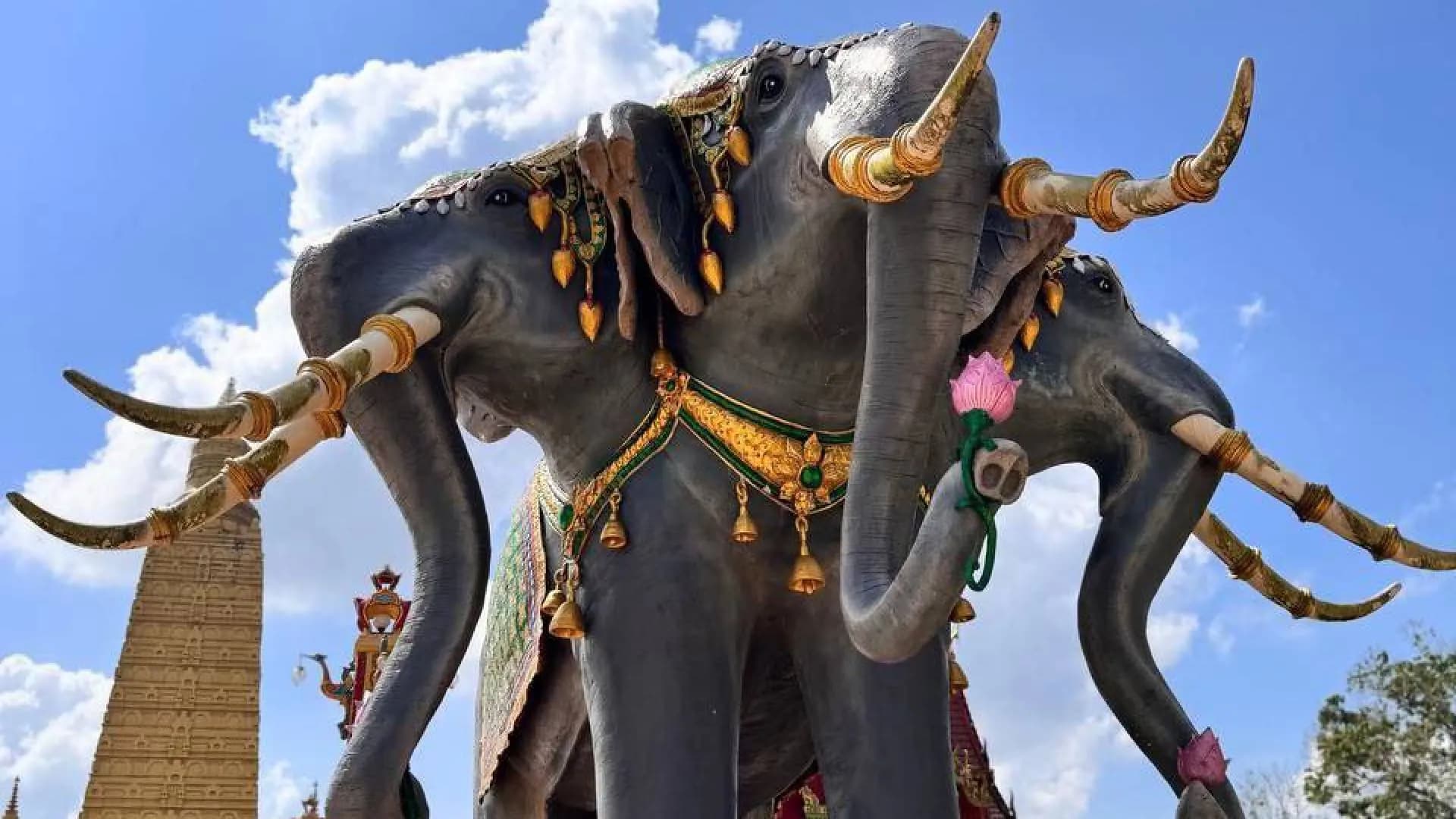 Изображение услуги11