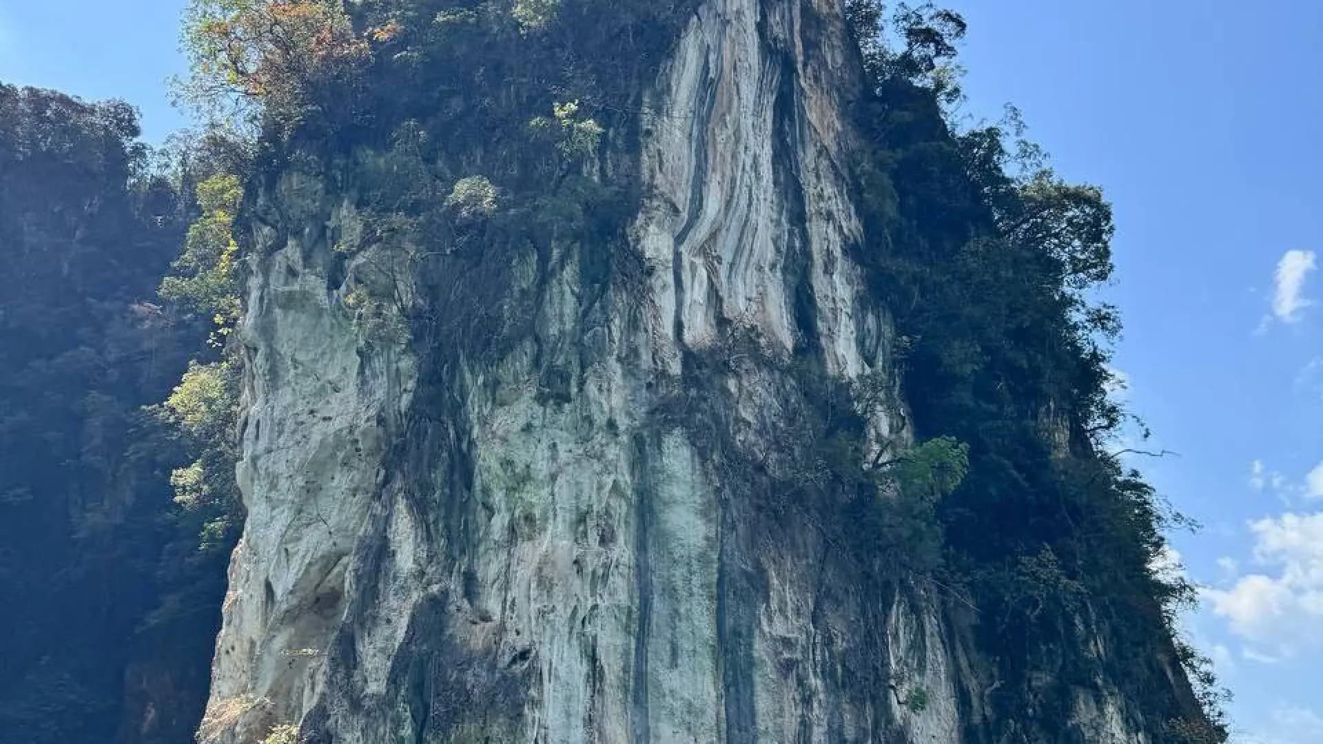 Изображение услуги8