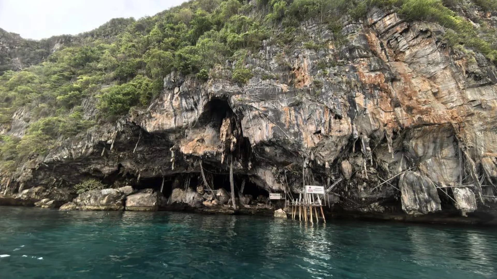 Изображение услуги5