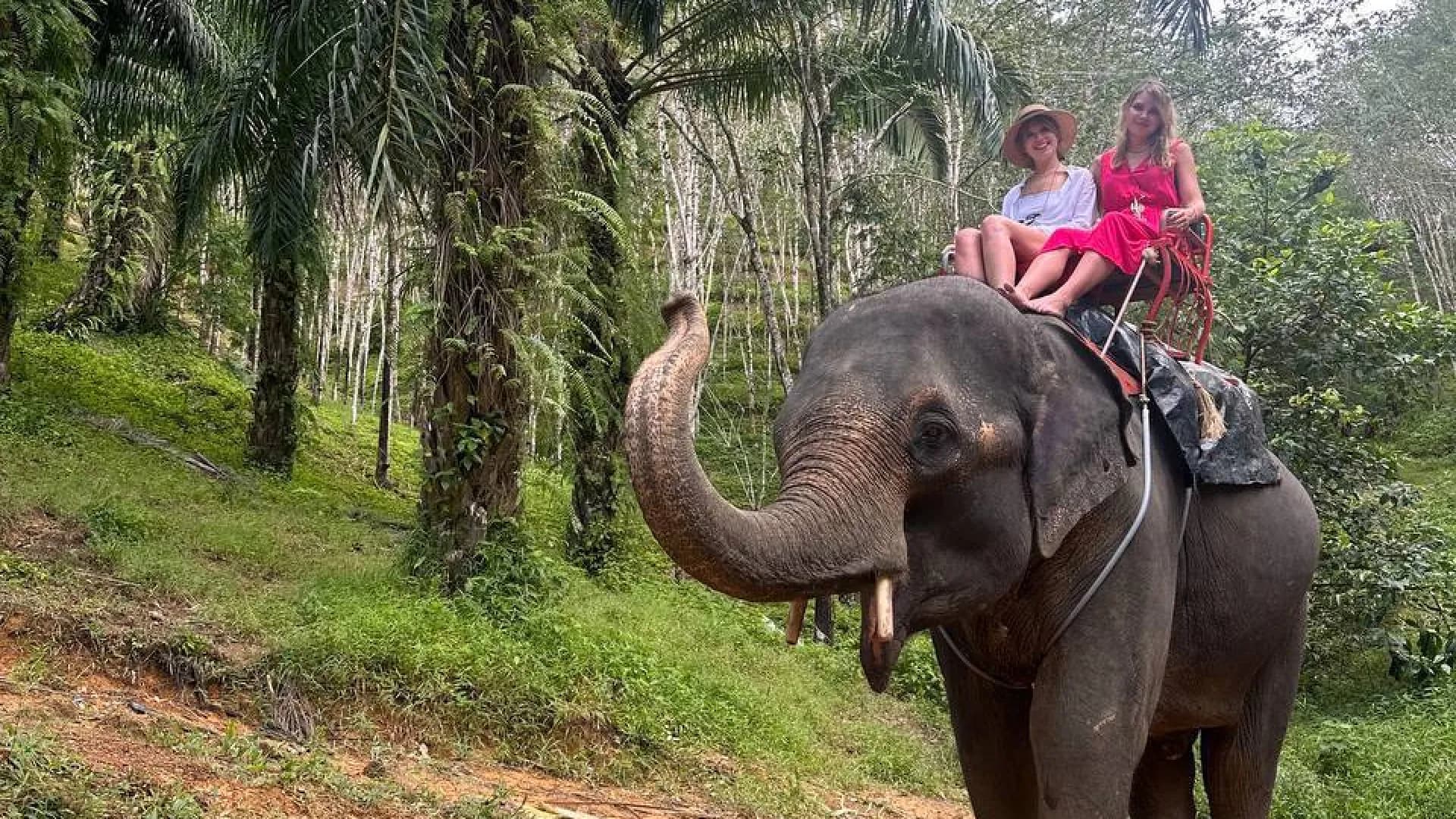 Изображение услуги0