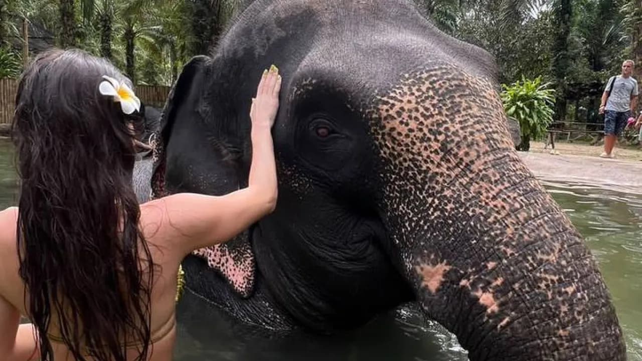 Изображение услуги7