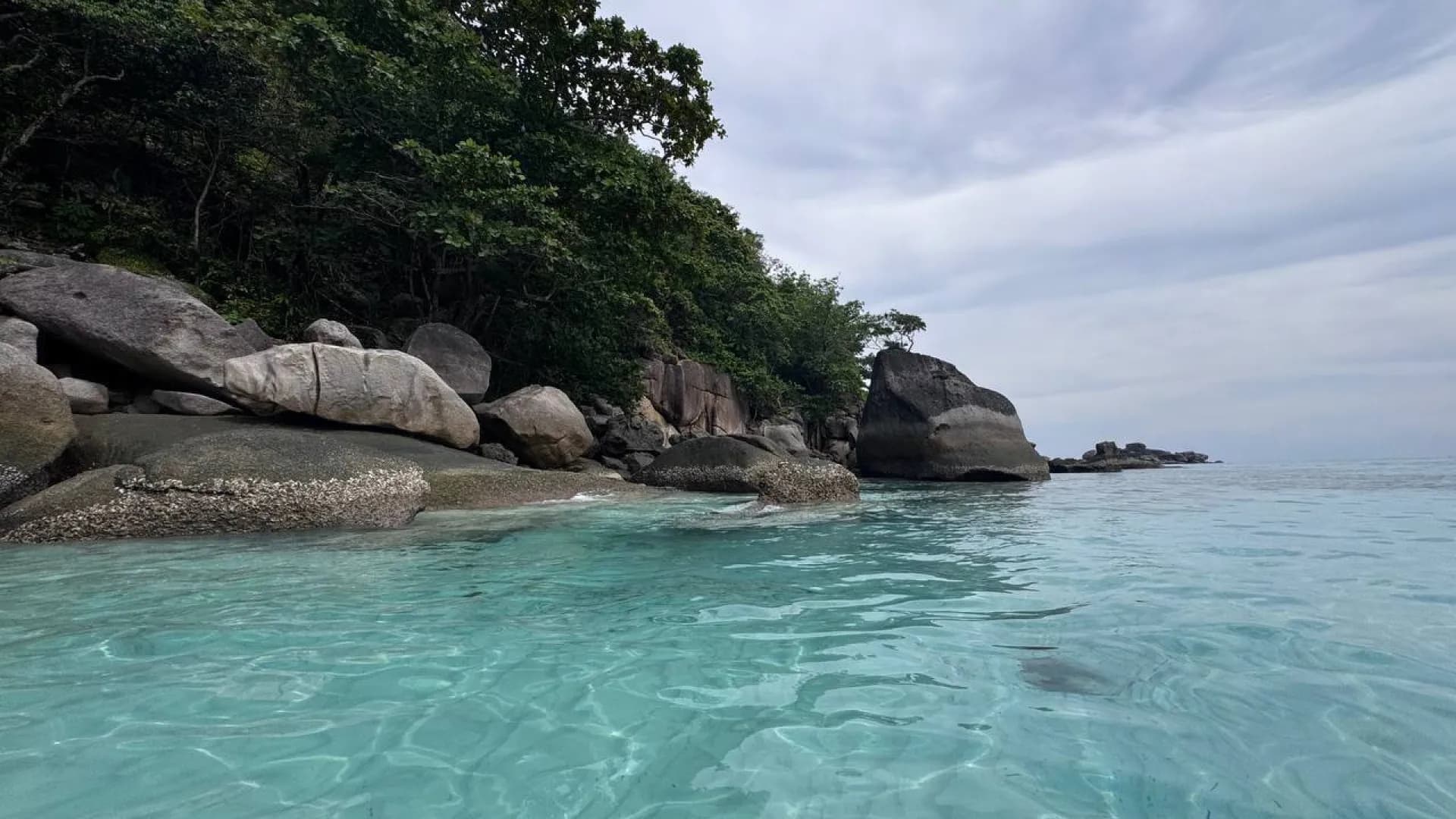 Изображение услуги6