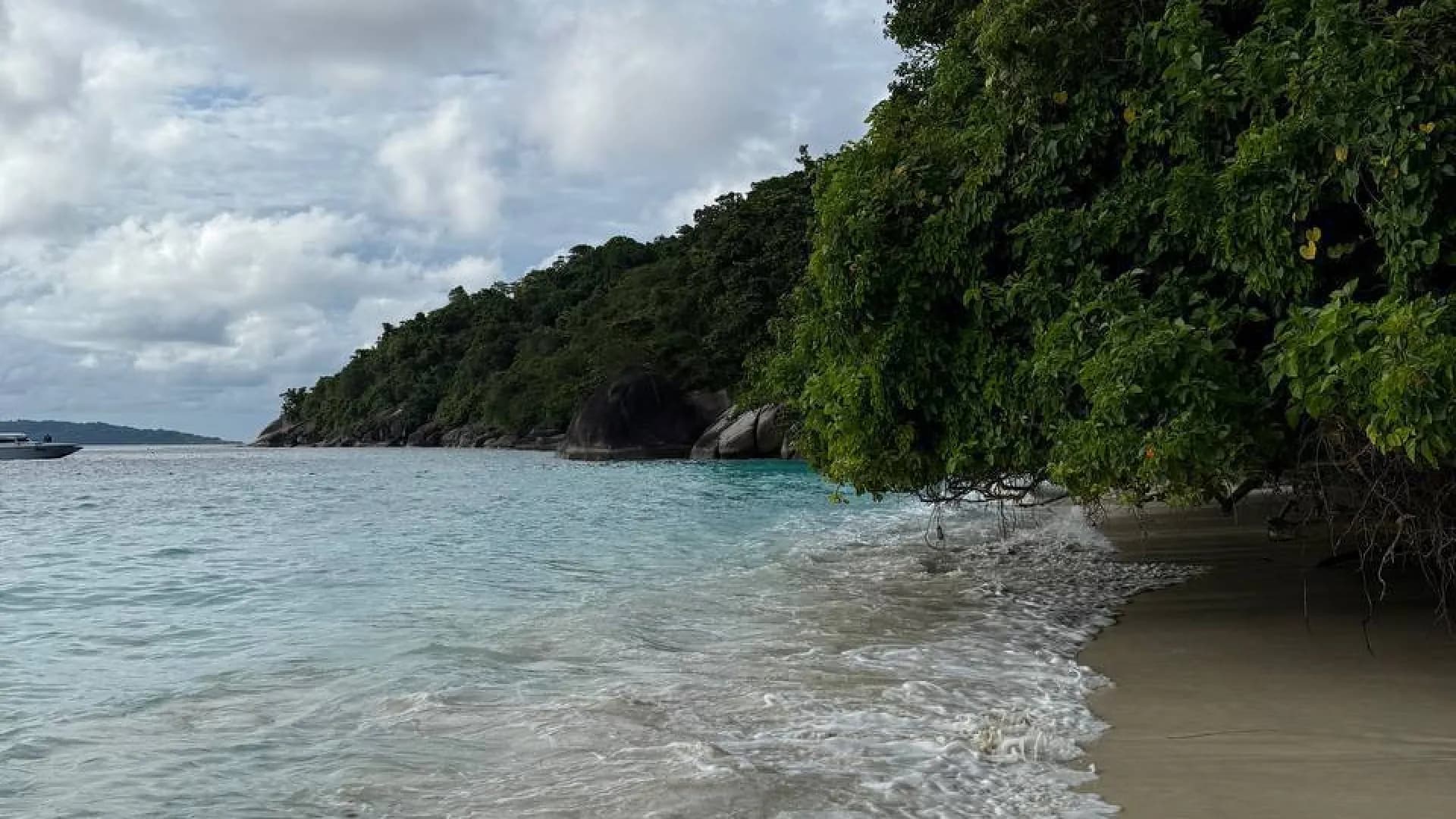 Изображение услуги8