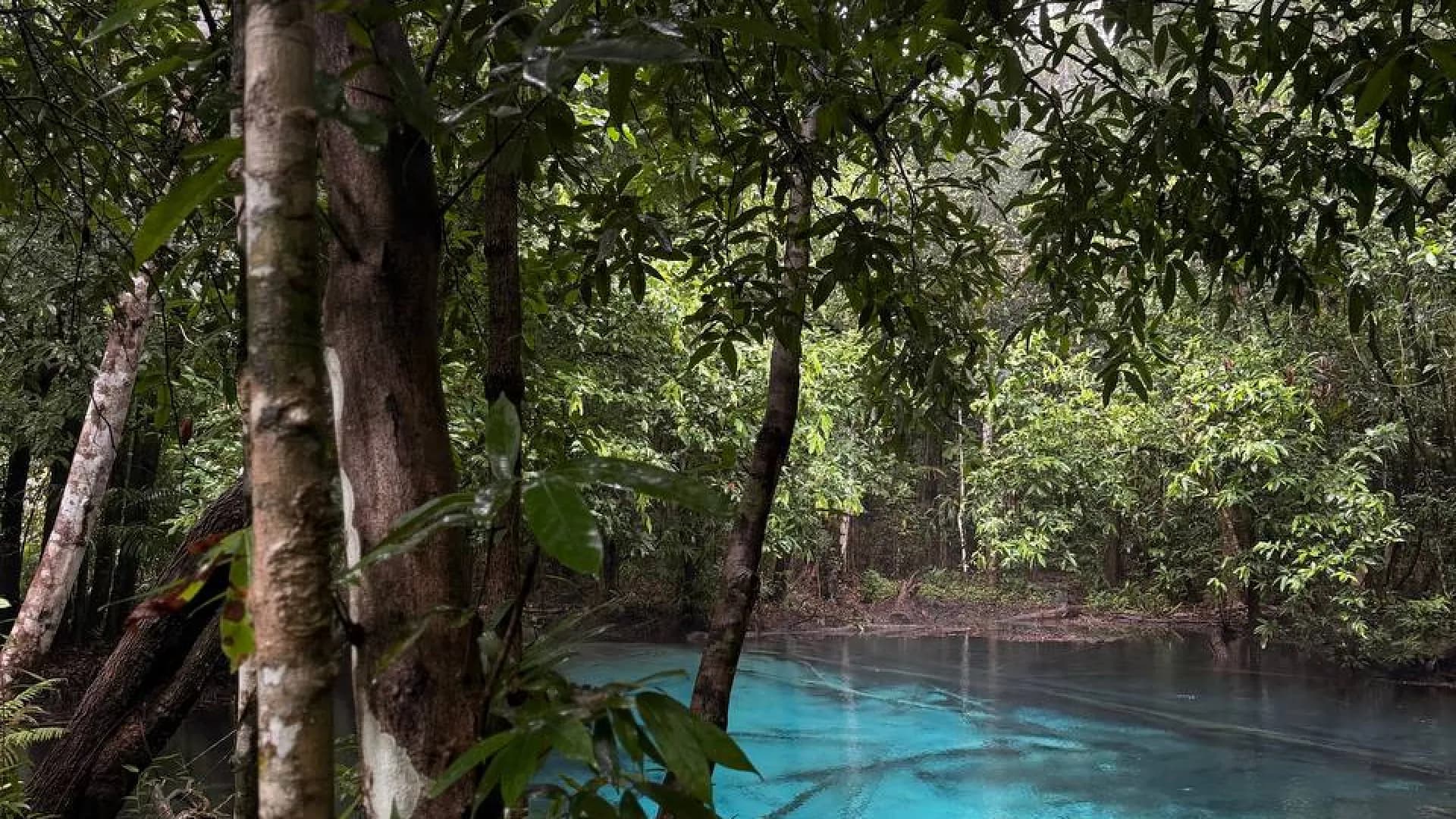 Изображение услуги1