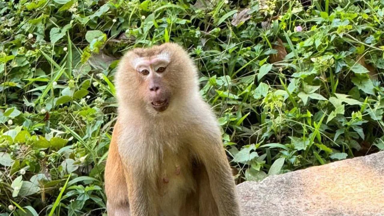 Изображение услуги2