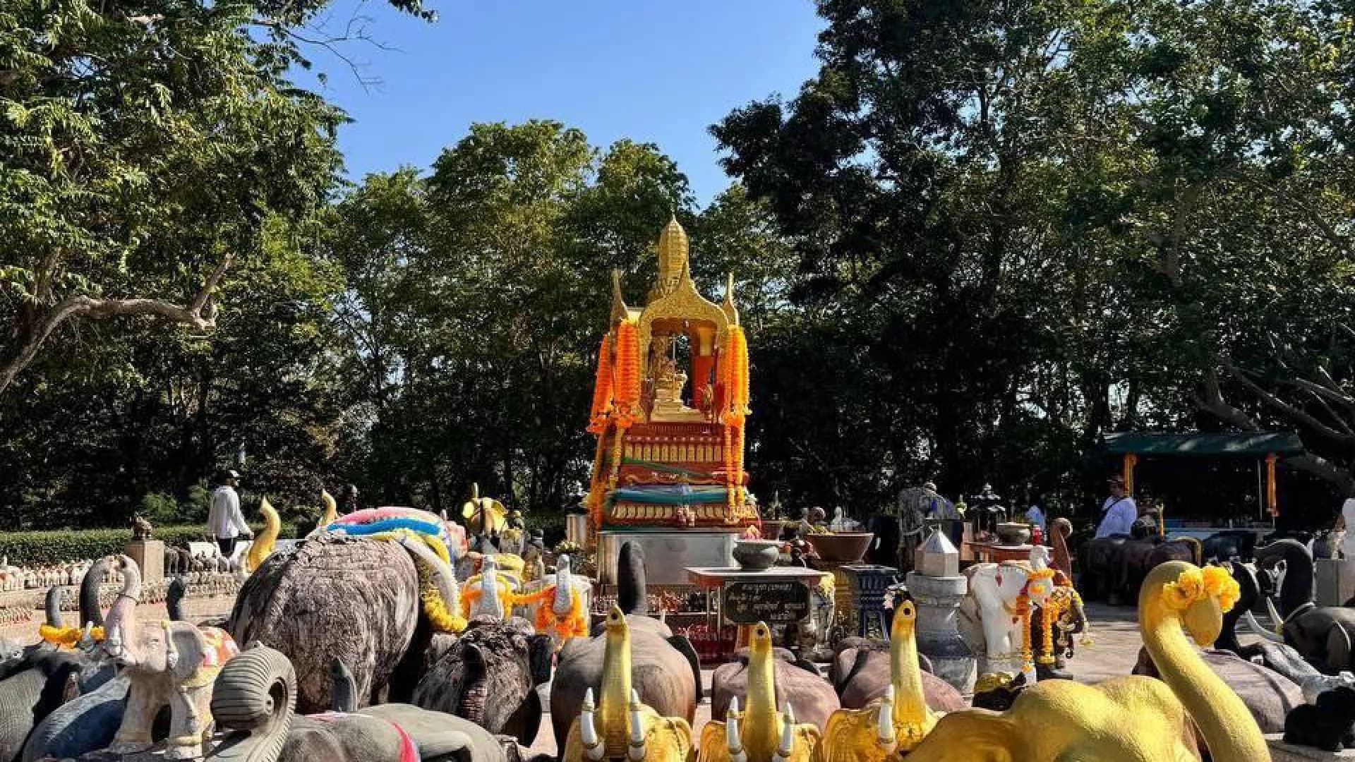 Изображение услуги3