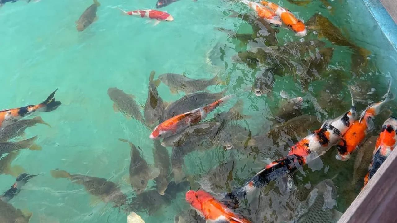 Изображение услуги2