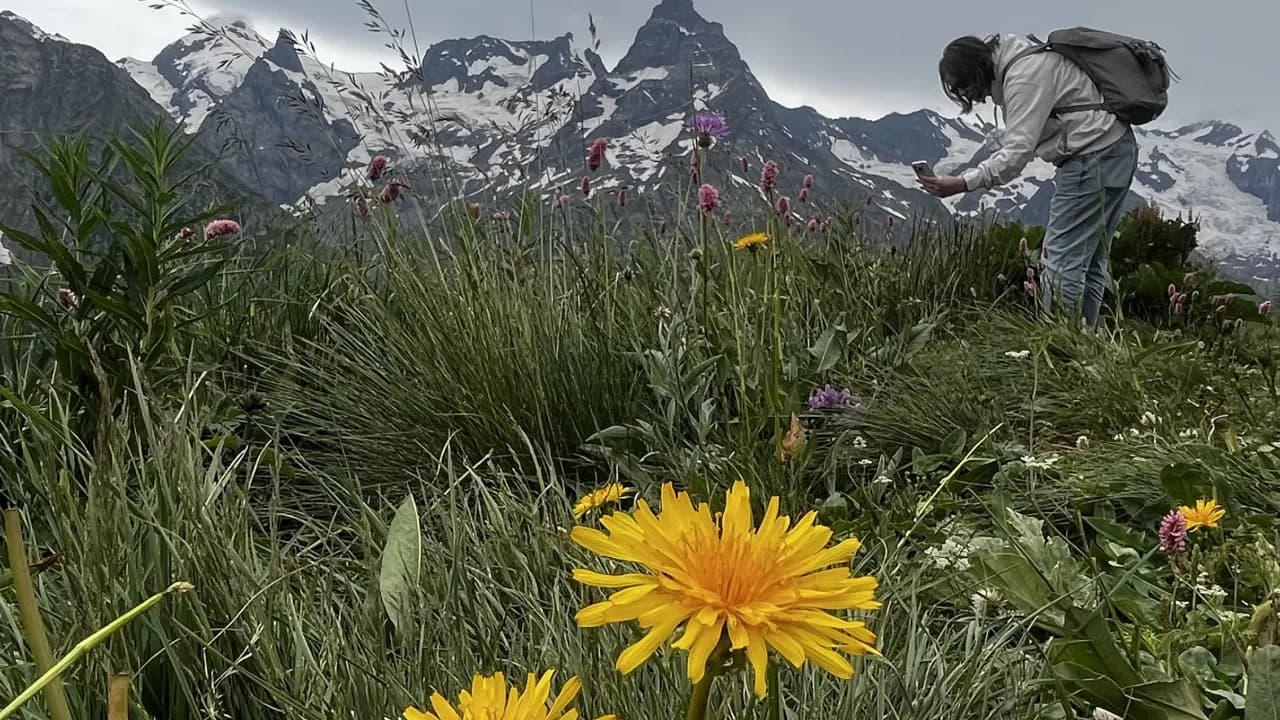 Изображение услуги2