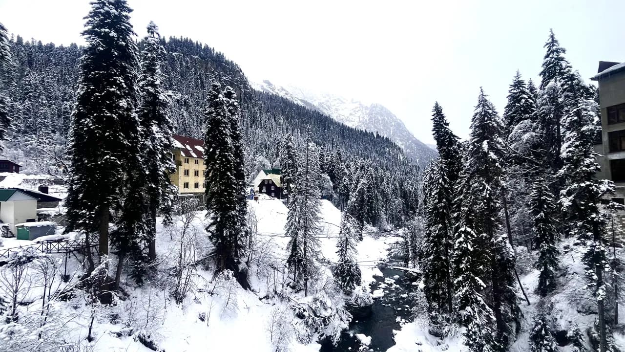 Изображение услуги6