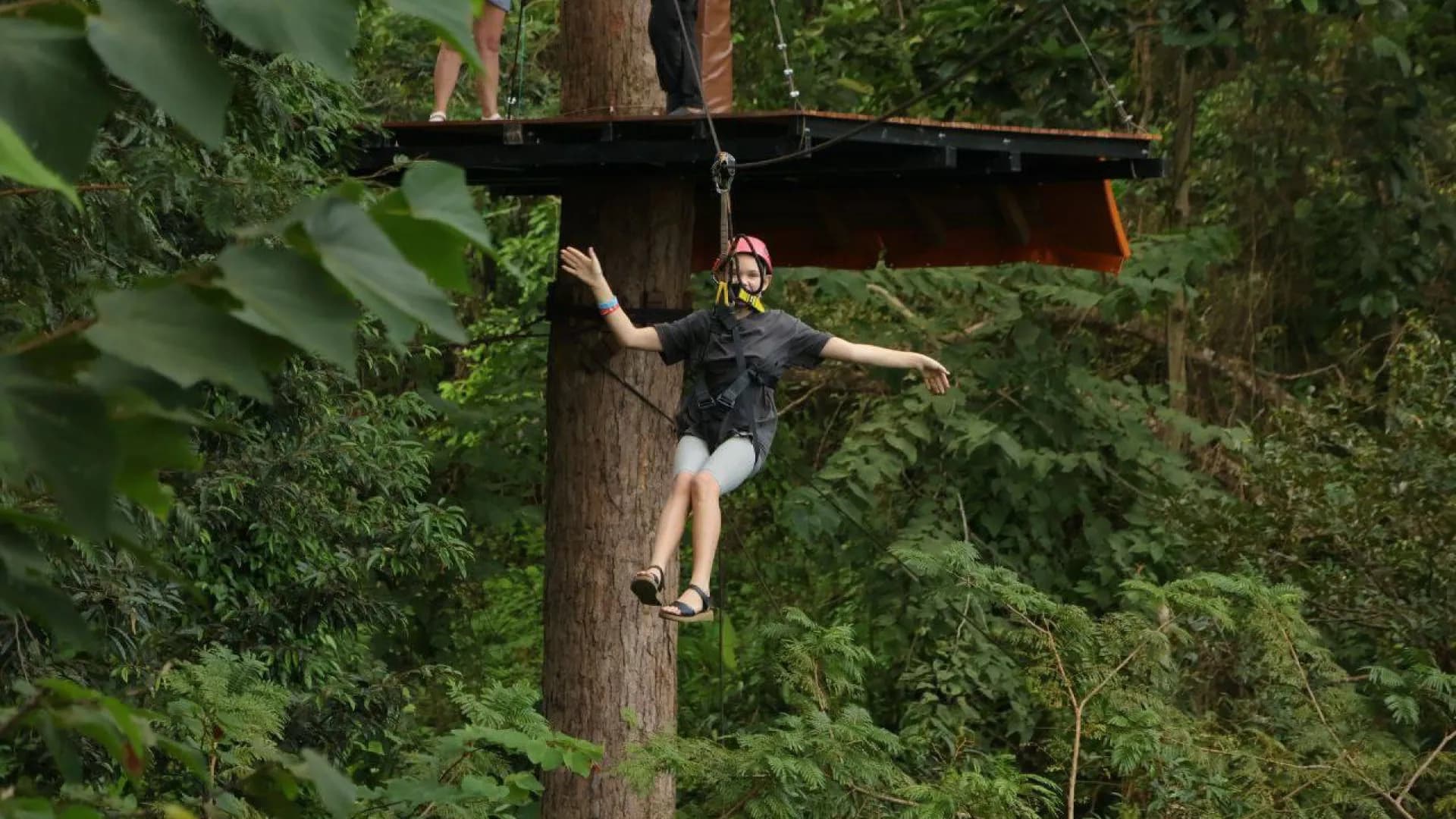 Изображение услуги2