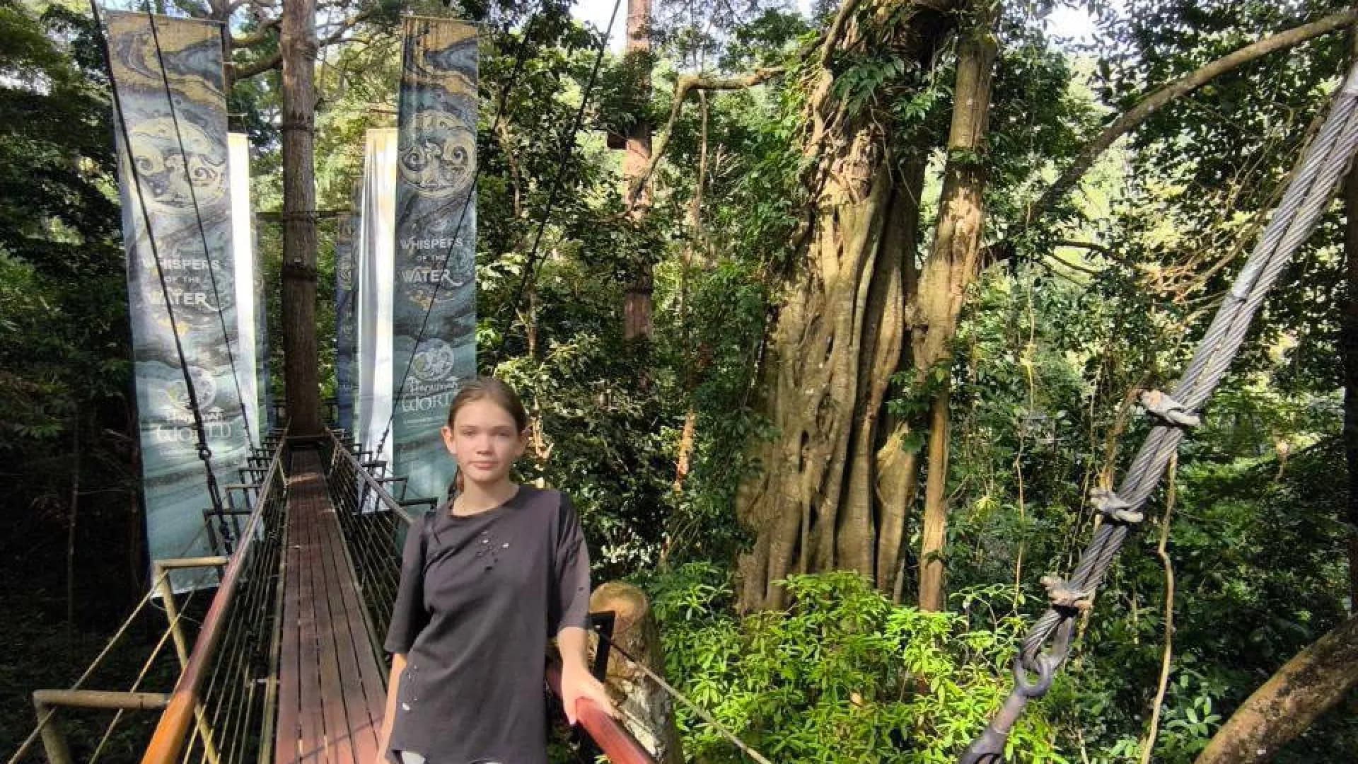 Изображение услуги4