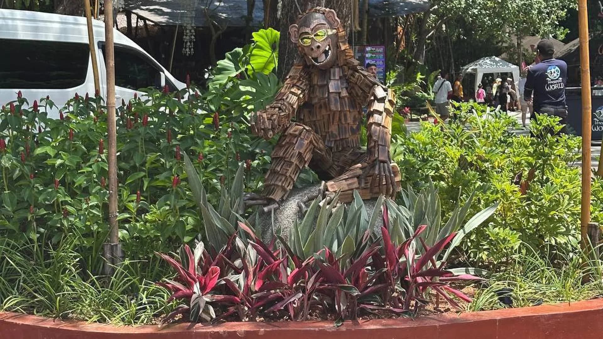 Изображение услуги8