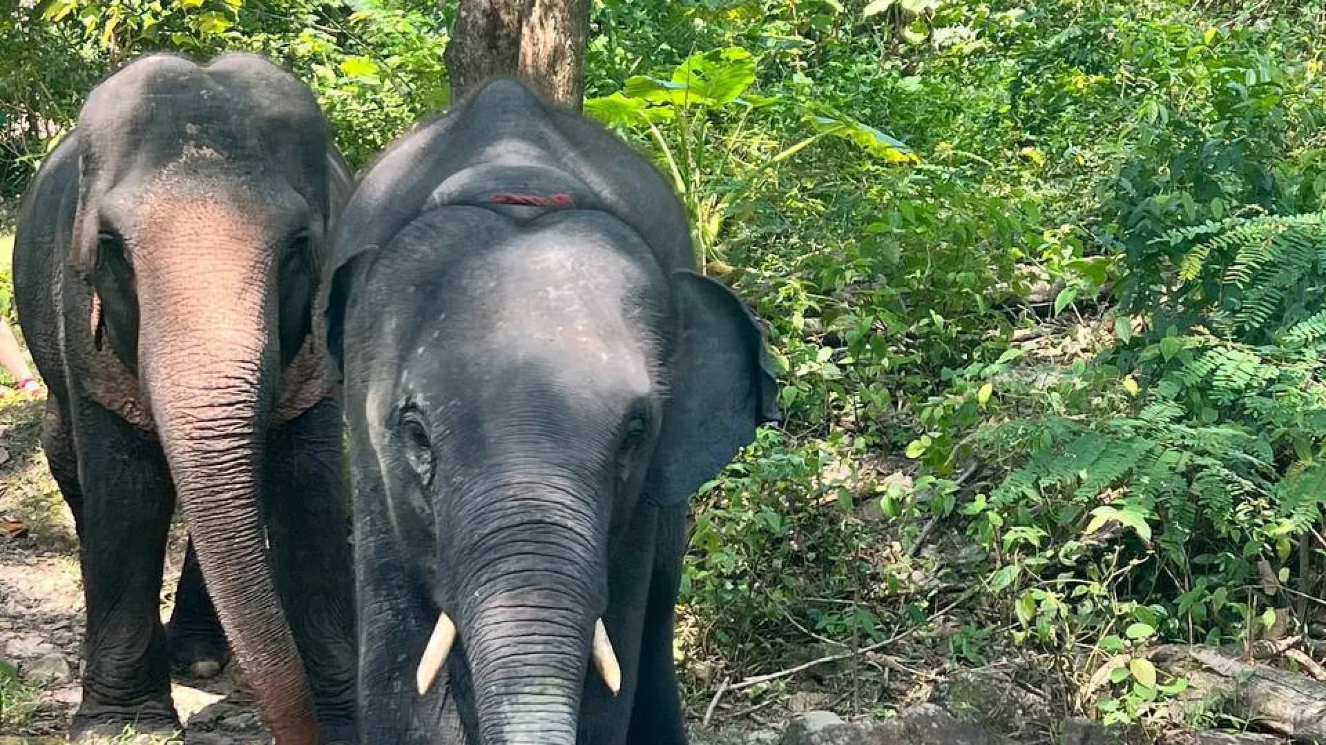 Изображение услуги2