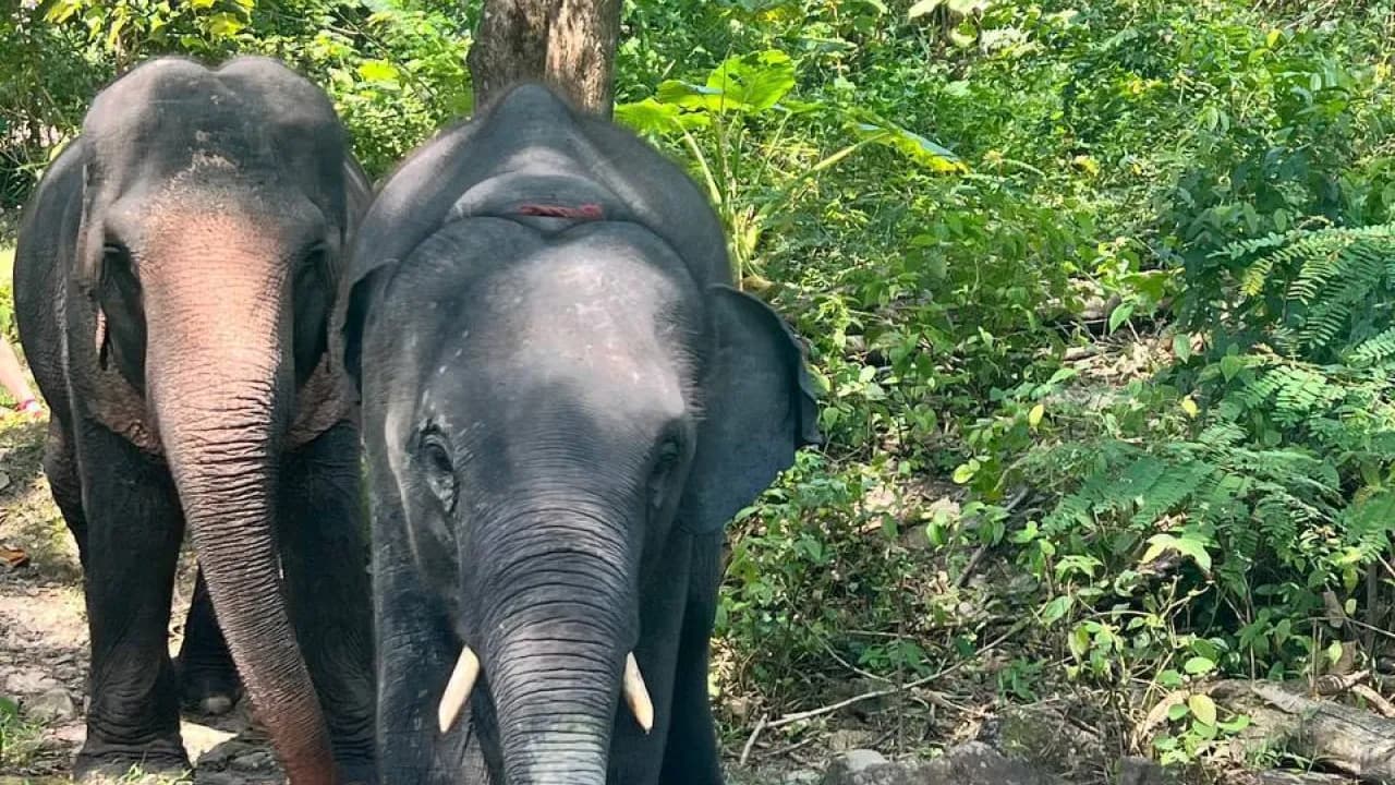 Изображение услуги2