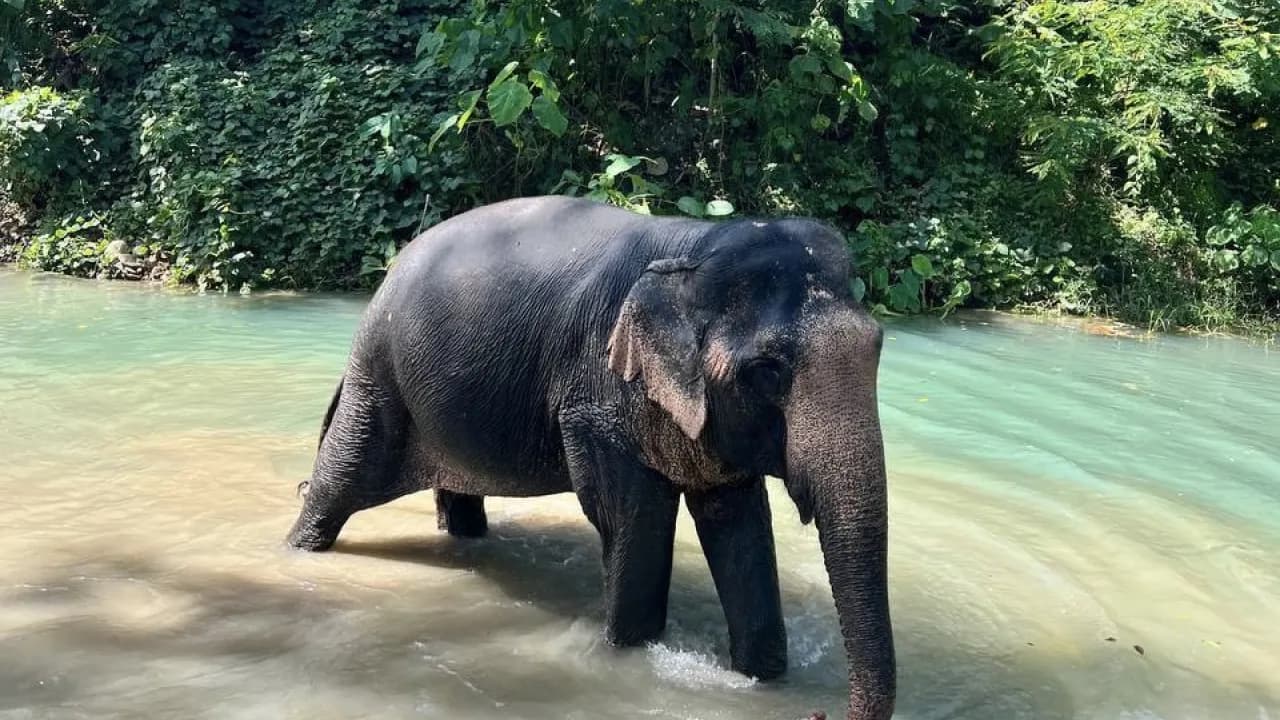 Изображение услуги3