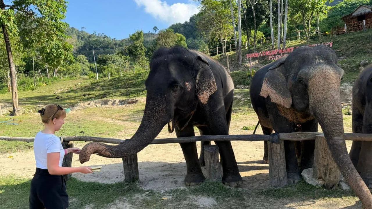 Изображение услуги6