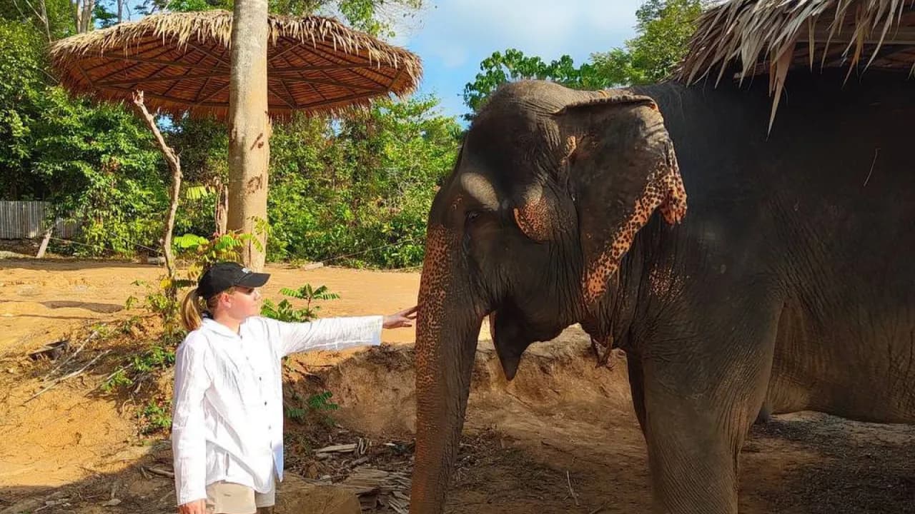 Изображение услуги2