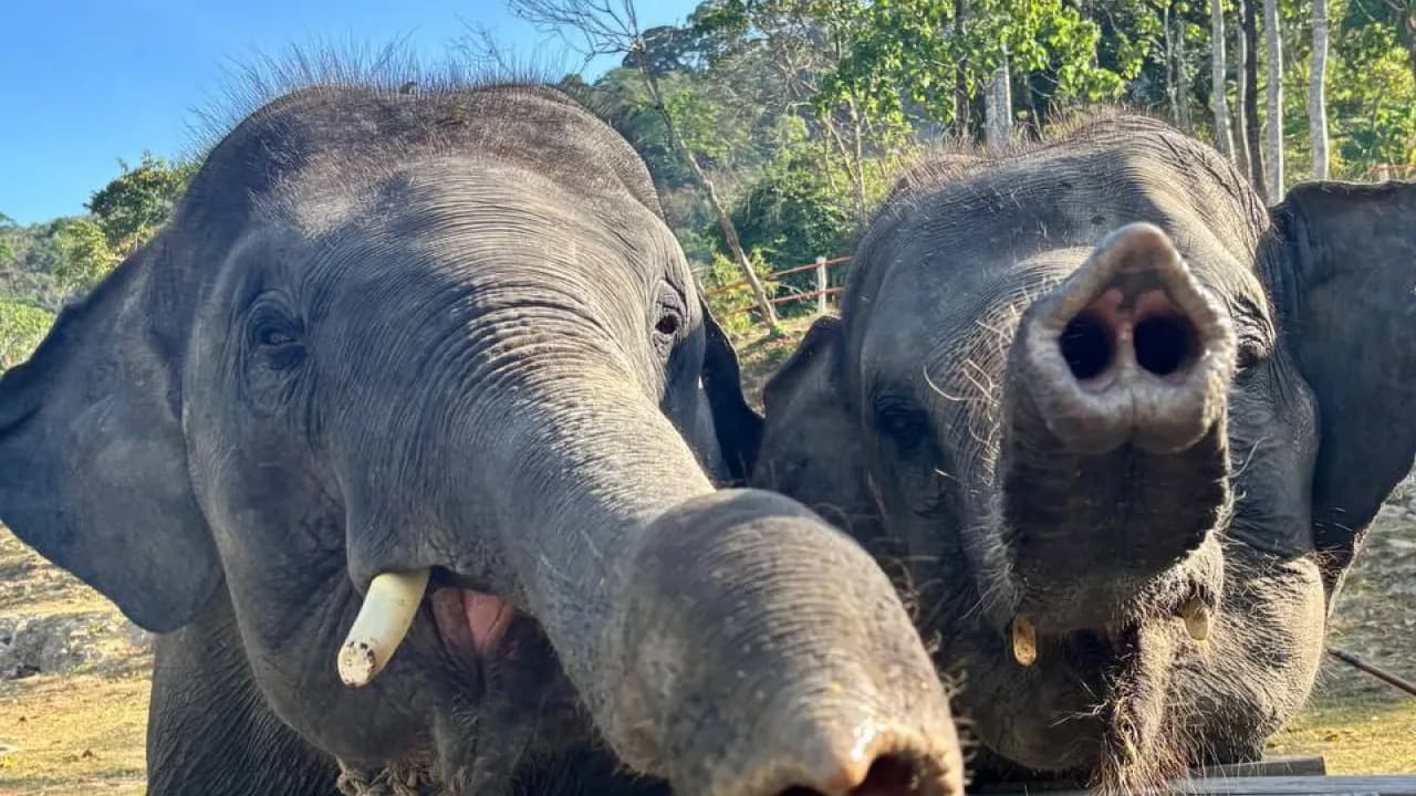 Изображение услуги8