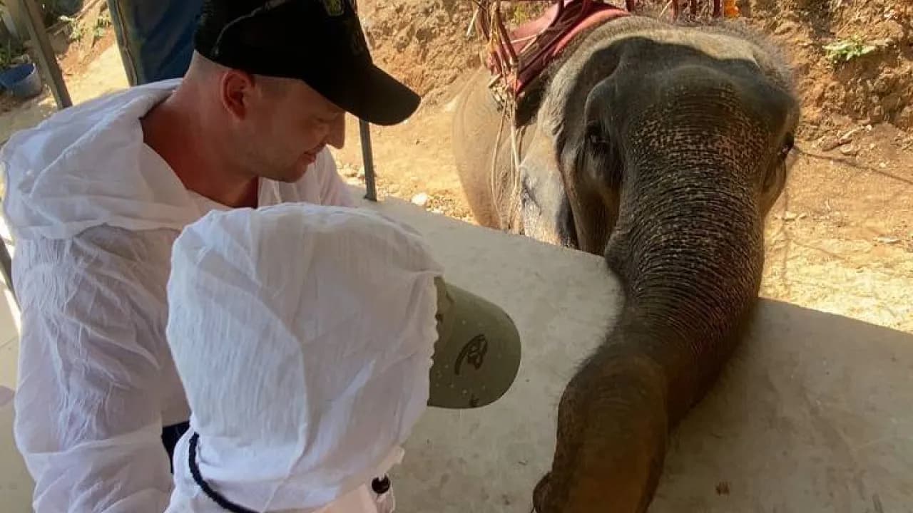 Изображение услуги9