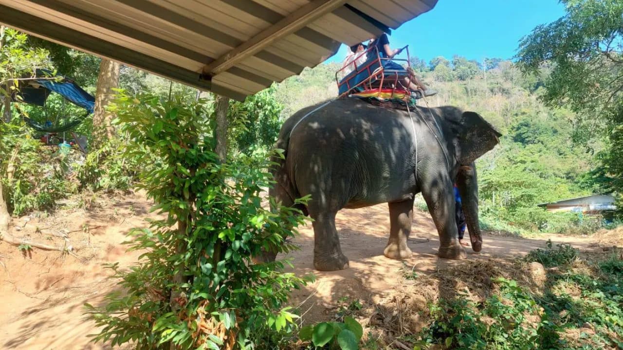 Изображение услуги4