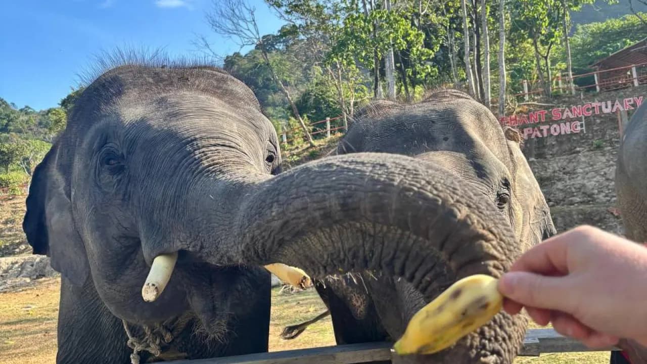 Изображение услуги8