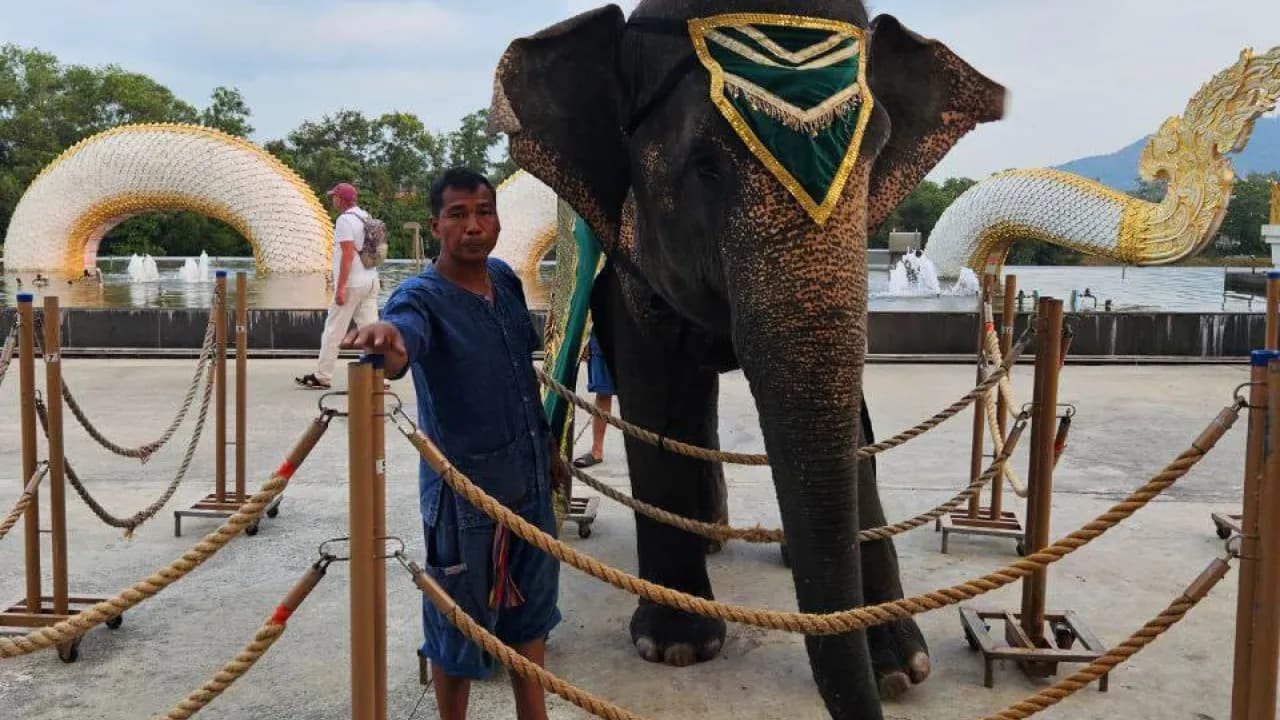 Изображение услуги9