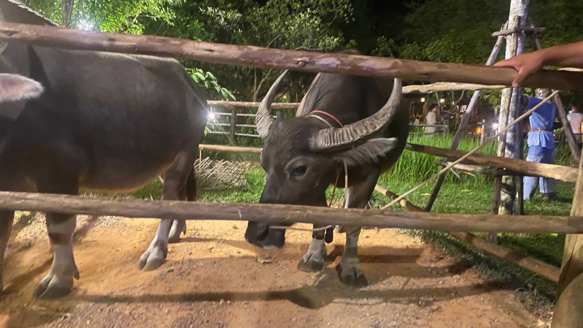 Изображение услуги10