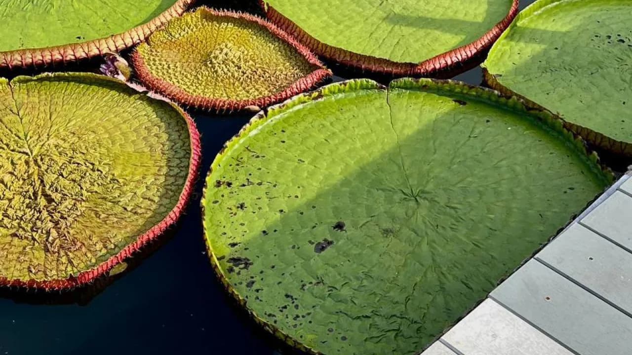 Изображение услуги1