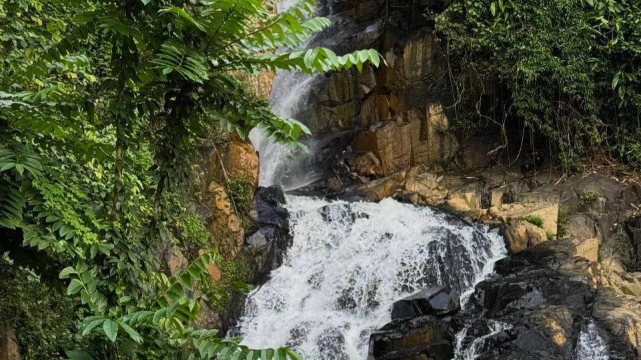 Изображение услуги2