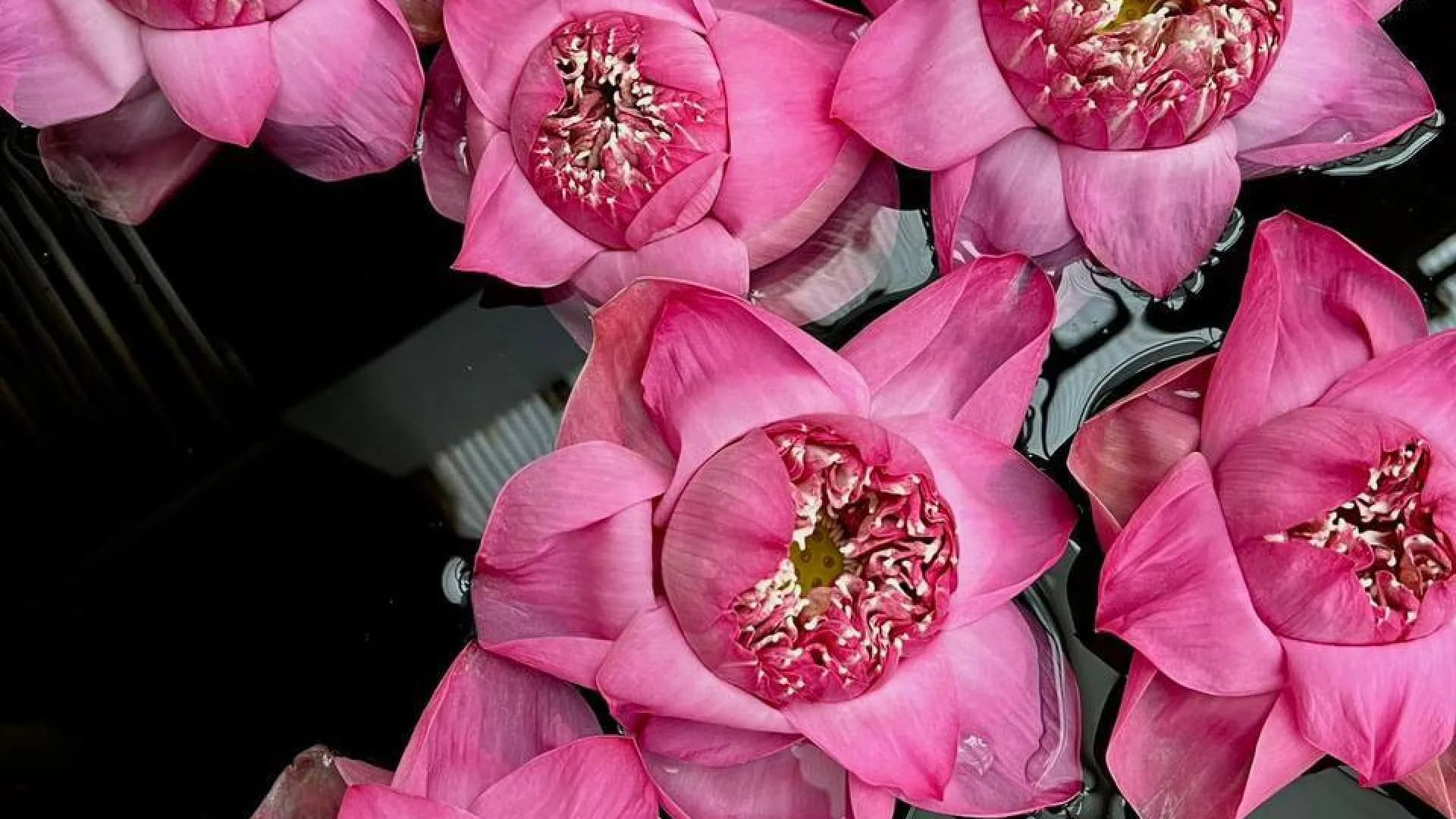 Изображение услуги4