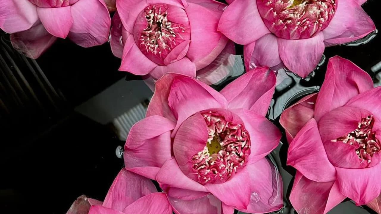 Изображение услуги4