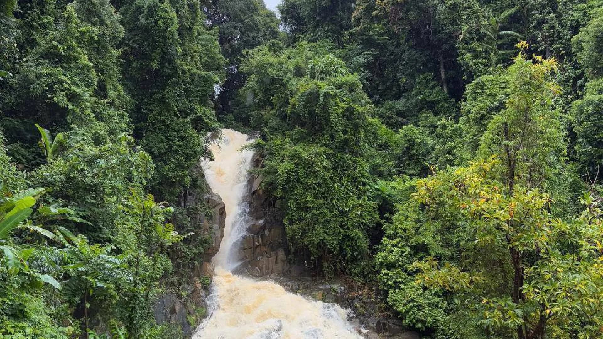 Изображение услуги8