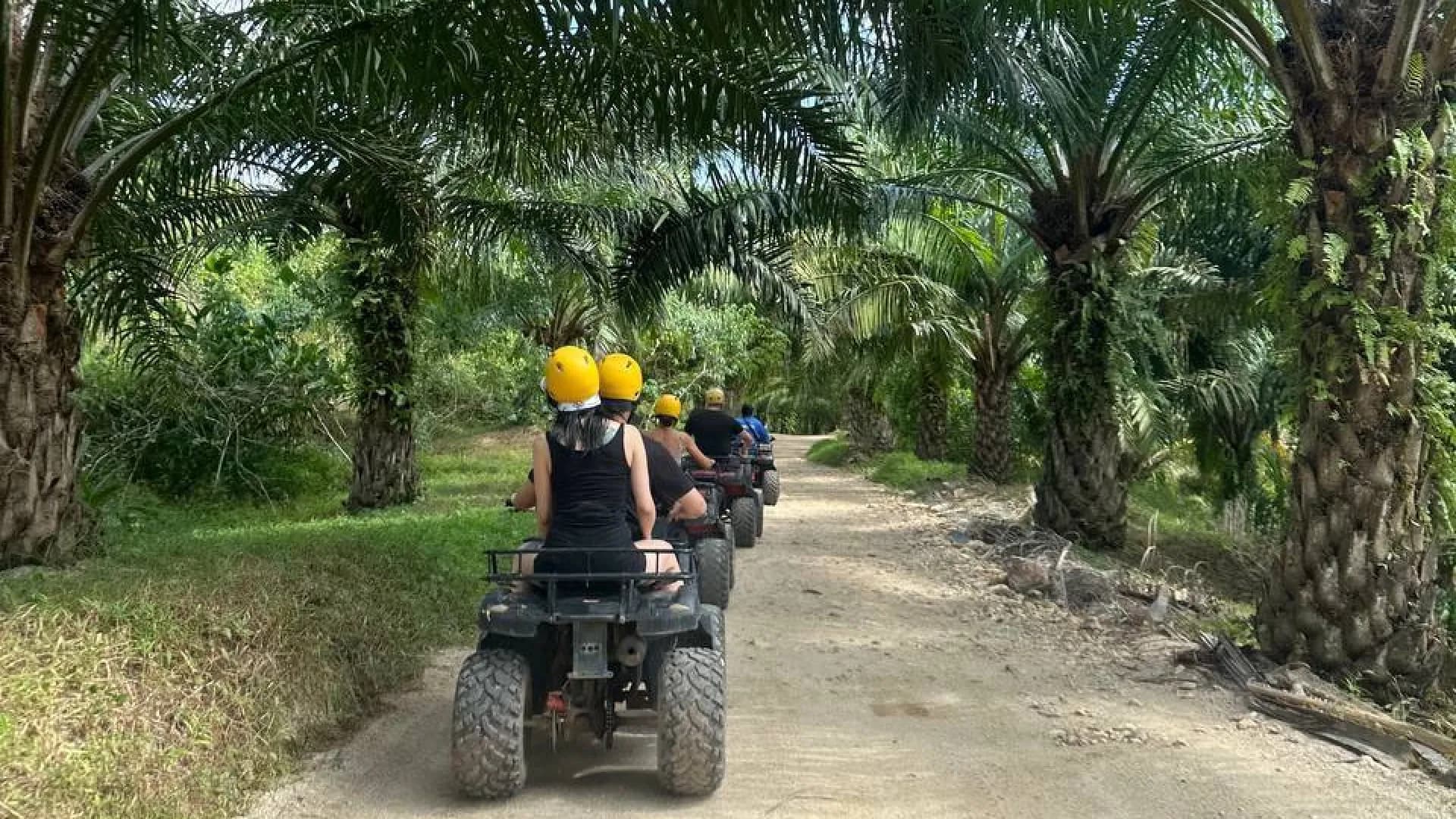 Изображение услуги3