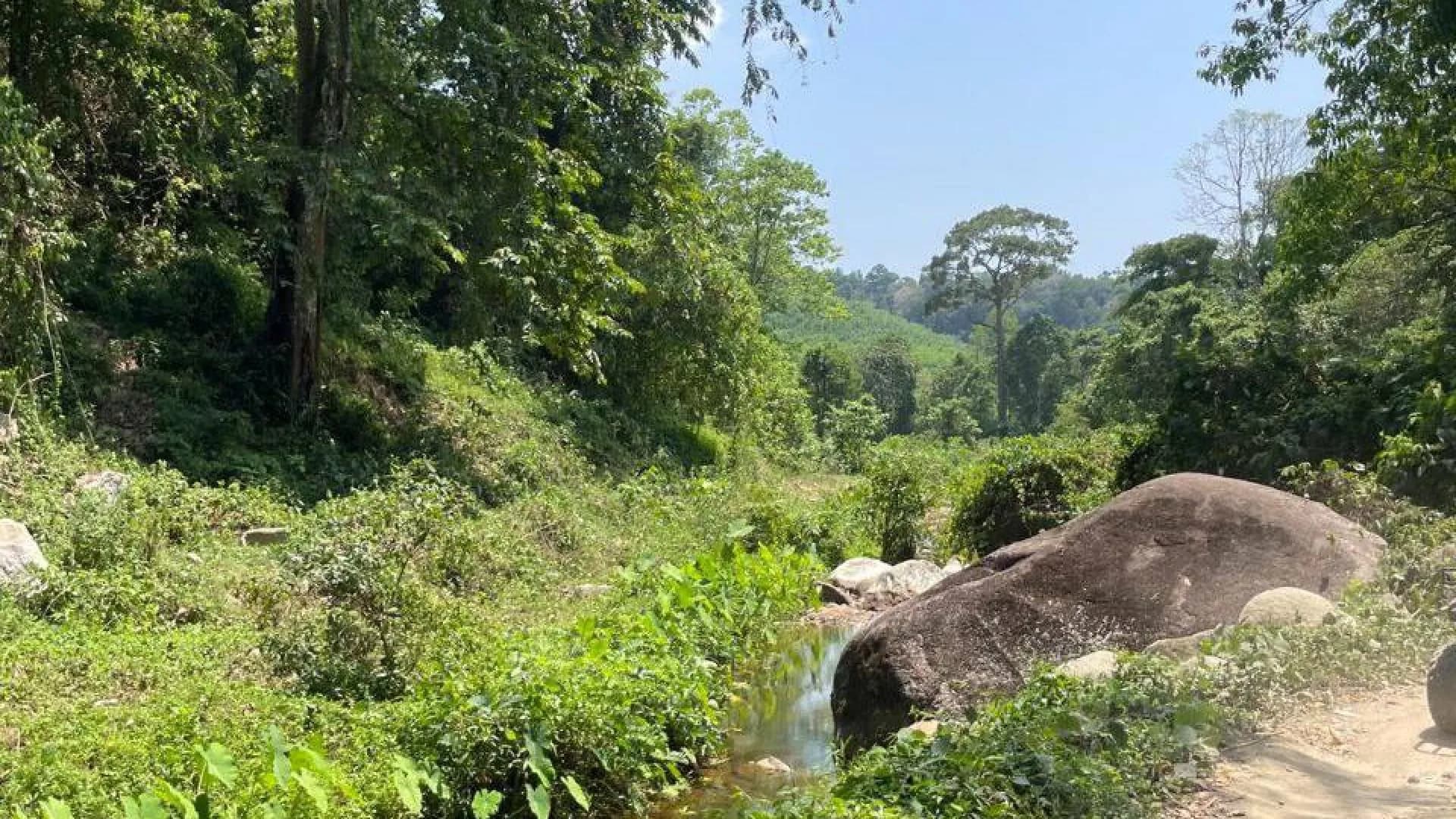 Изображение услуги1