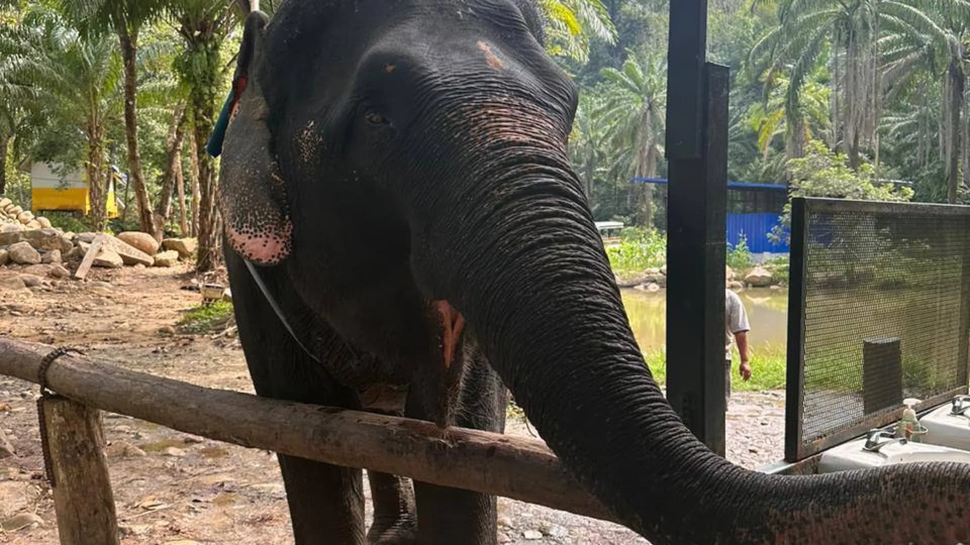 Изображение услуги5