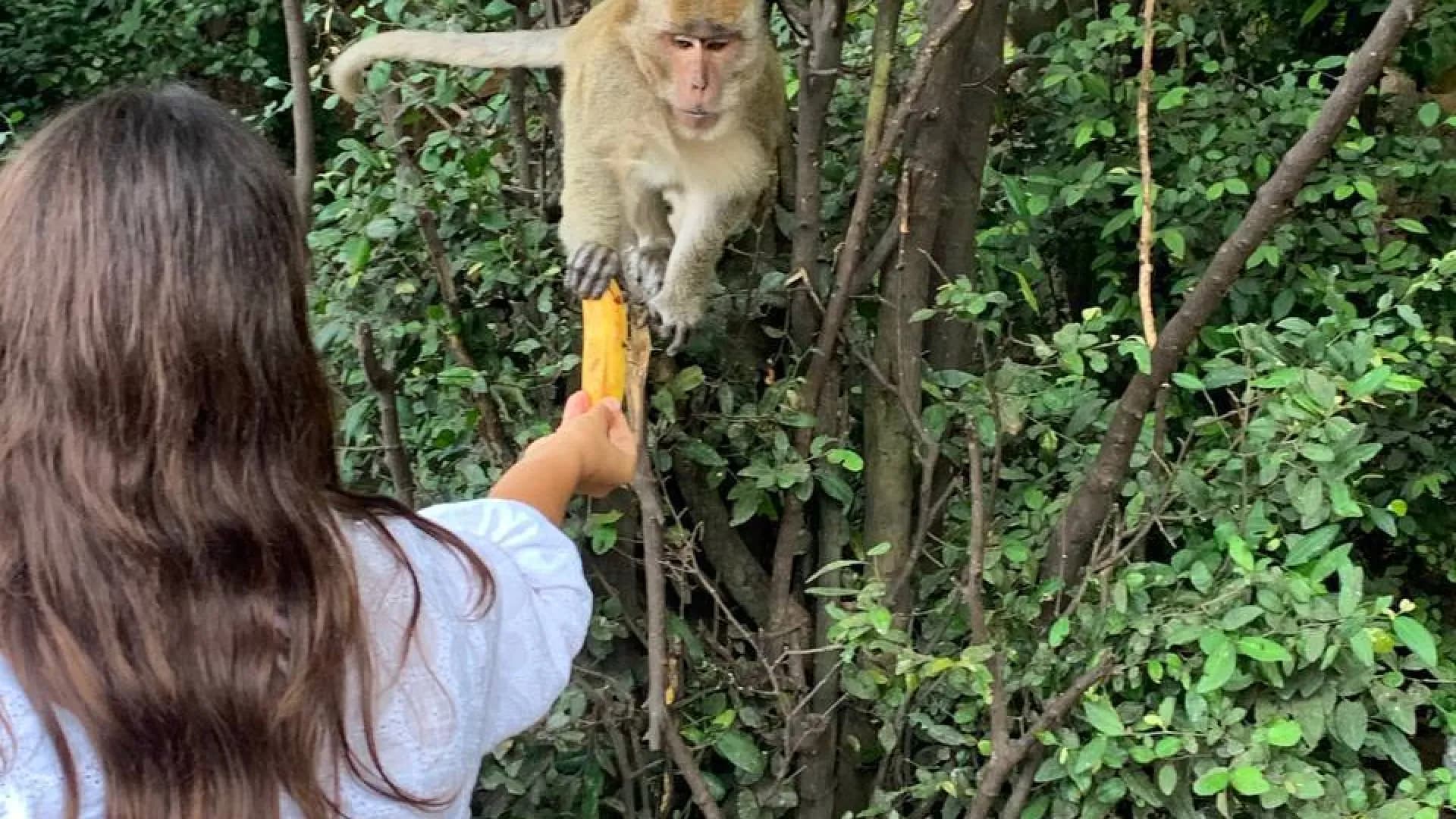 Изображение услуги7