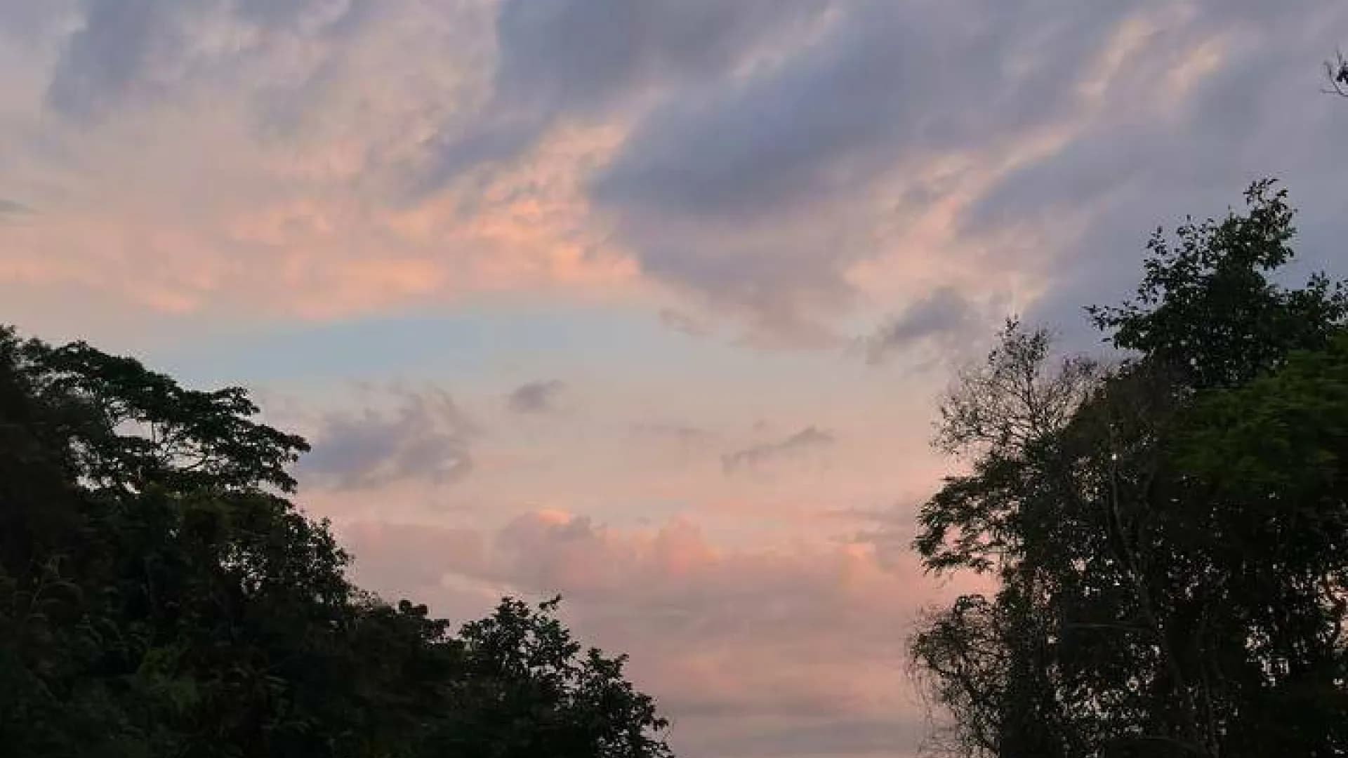 Изображение услуги1