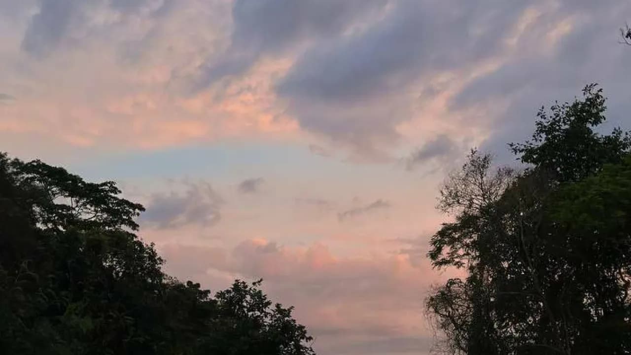 Изображение услуги1