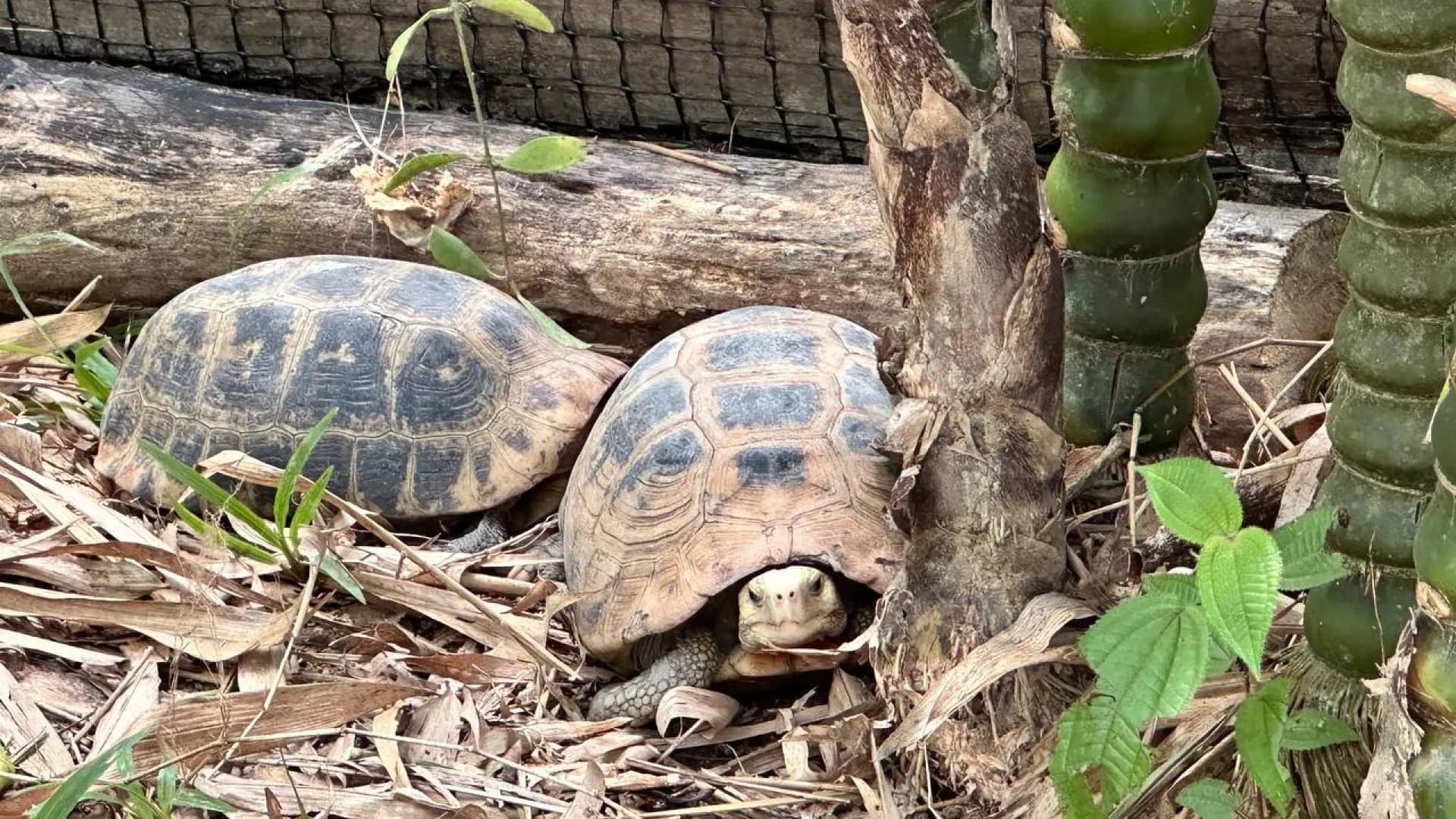 Изображение услуги9