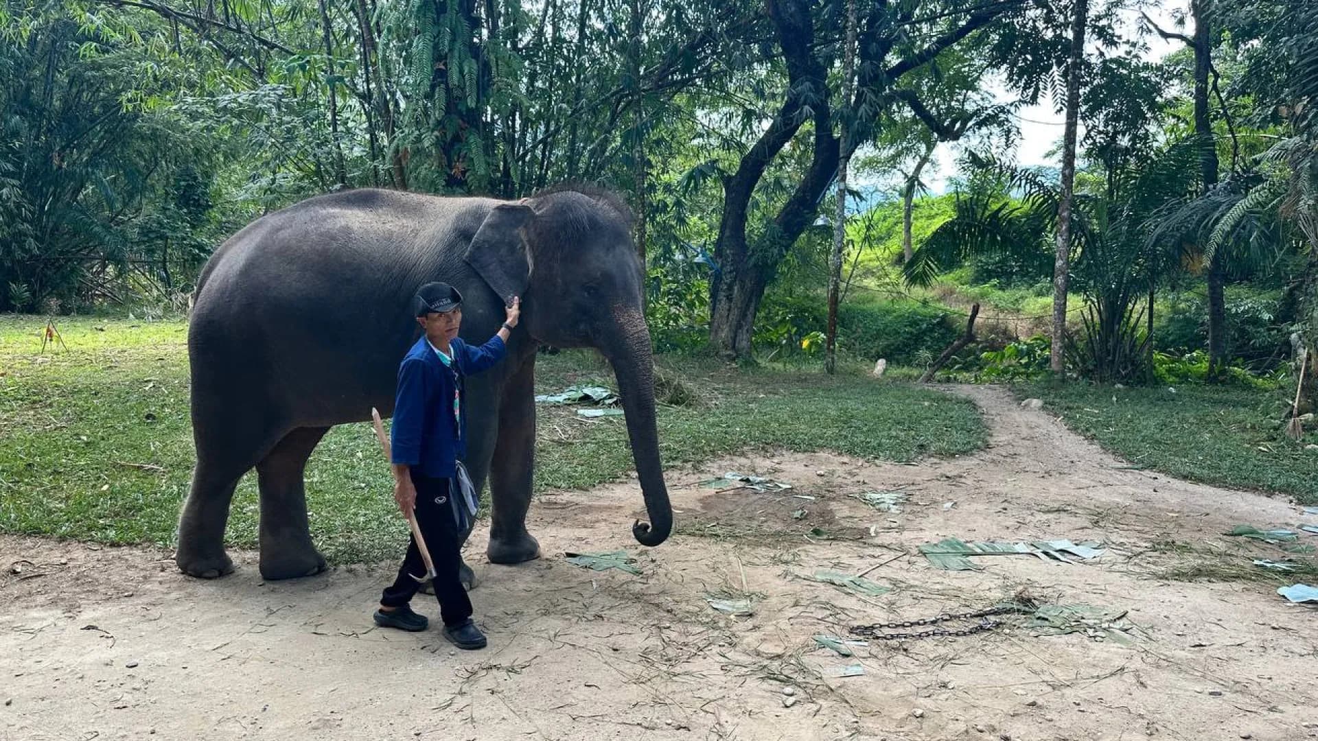 Изображение услуги10