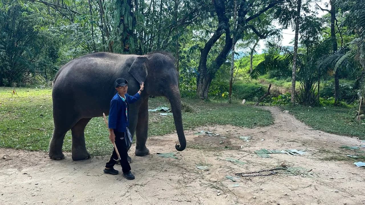 Изображение услуги10