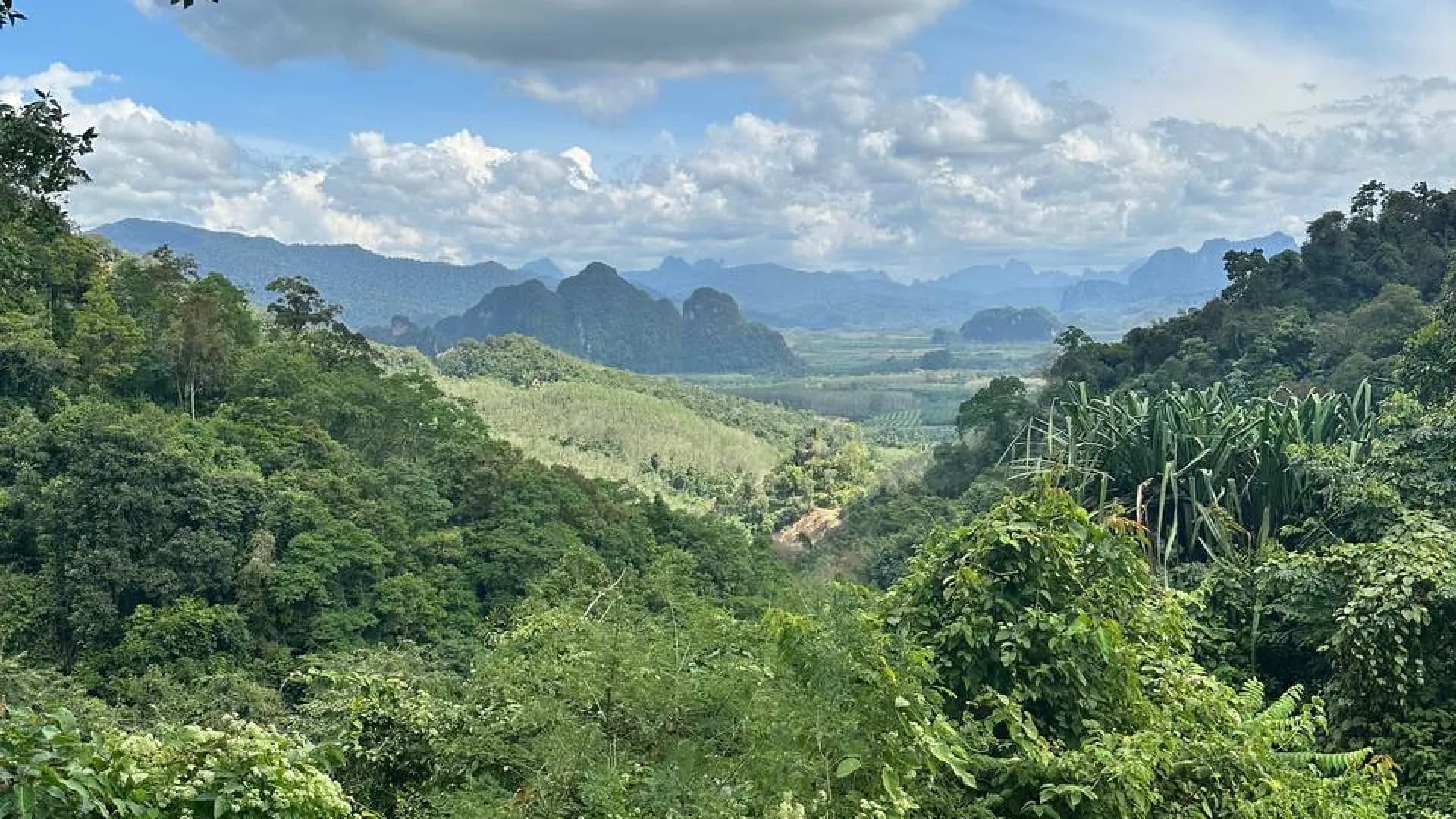 Изображение услуги12