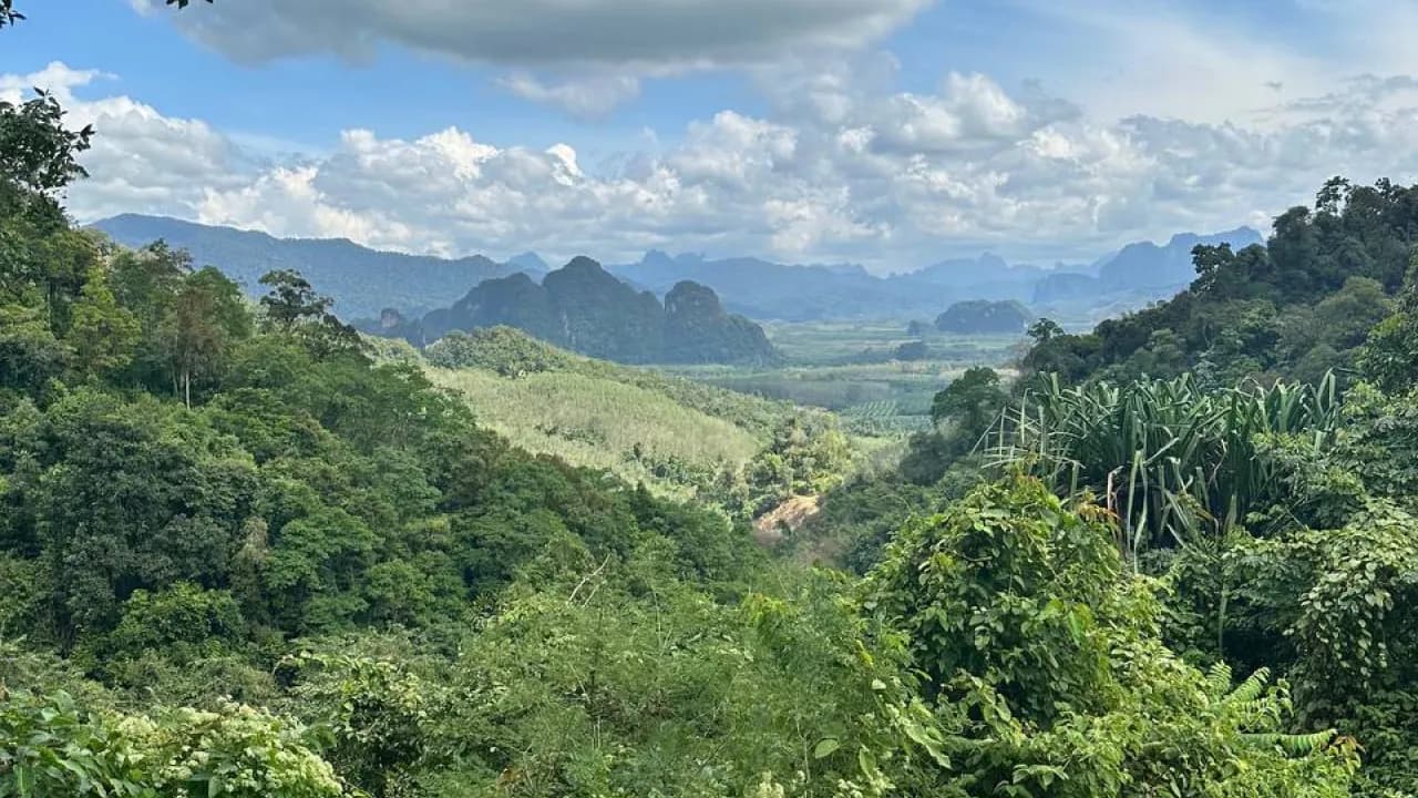 Изображение услуги12