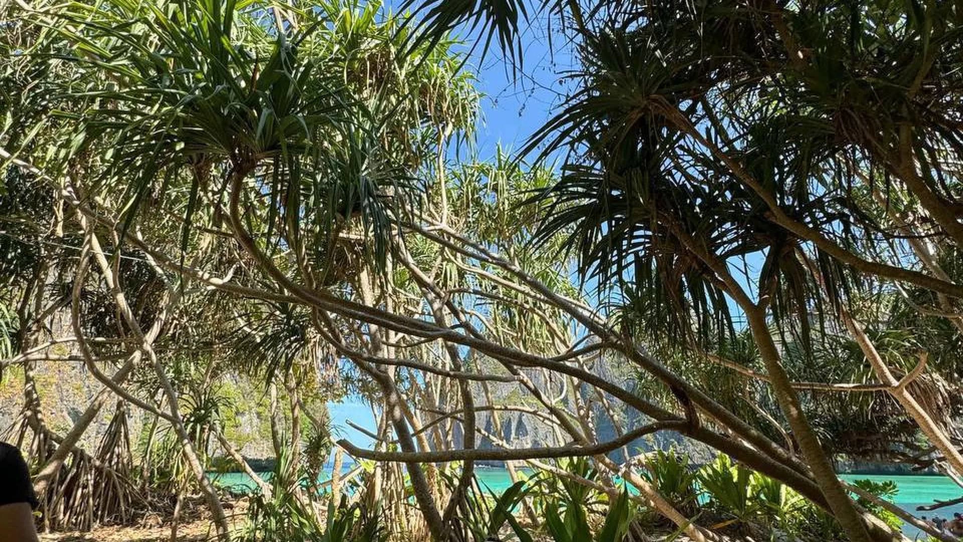 Изображение услуги1