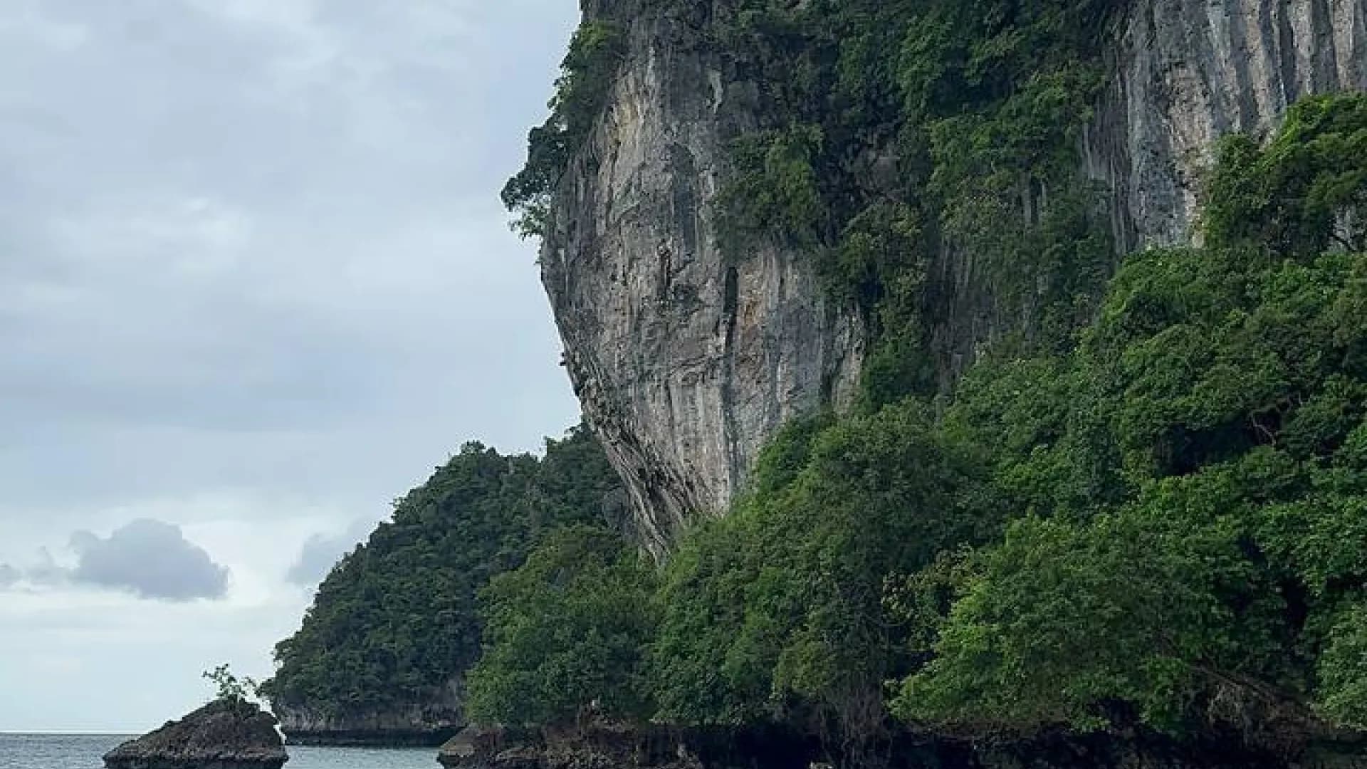 Изображение услуги11