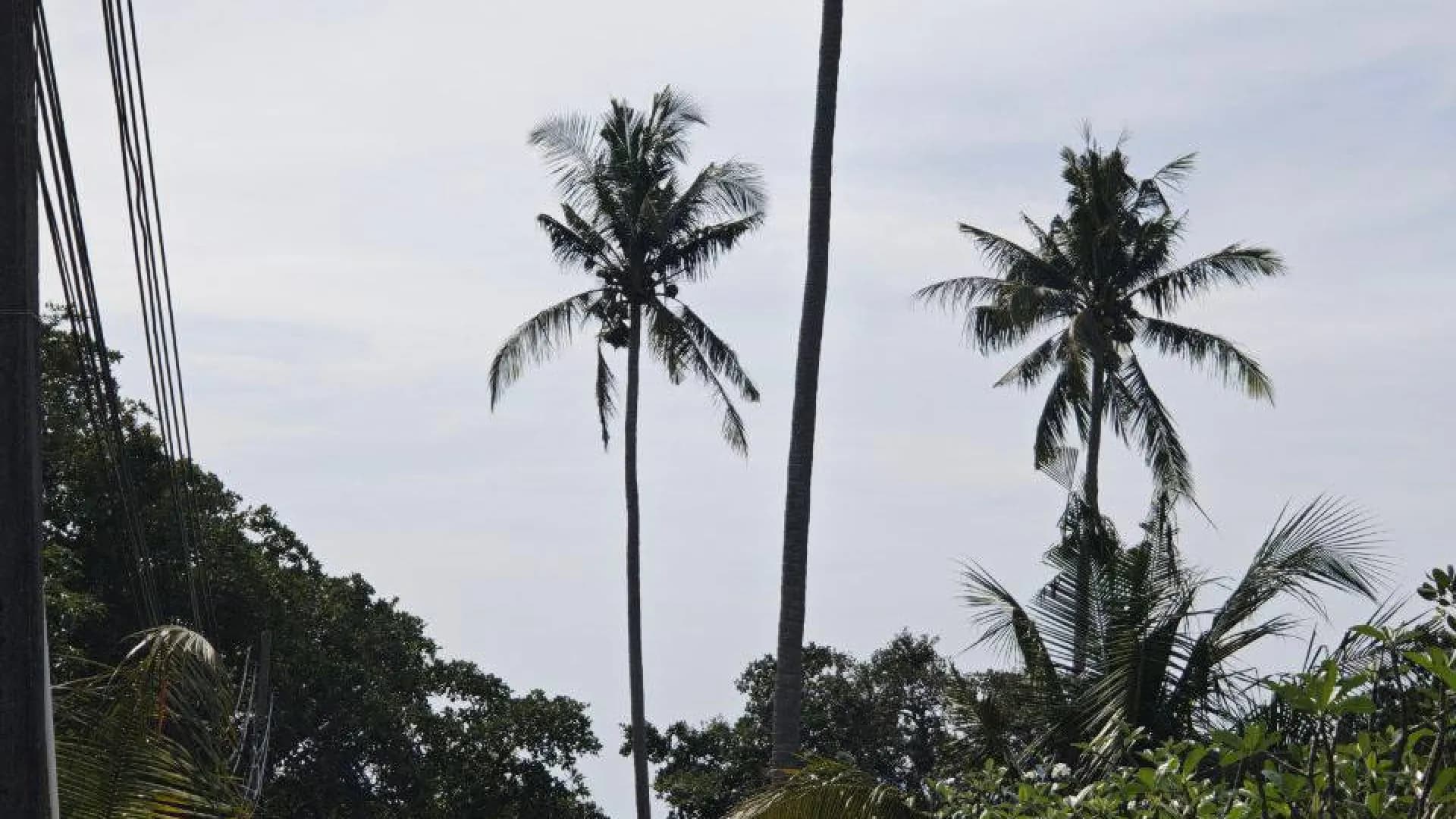 Изображение услуги5